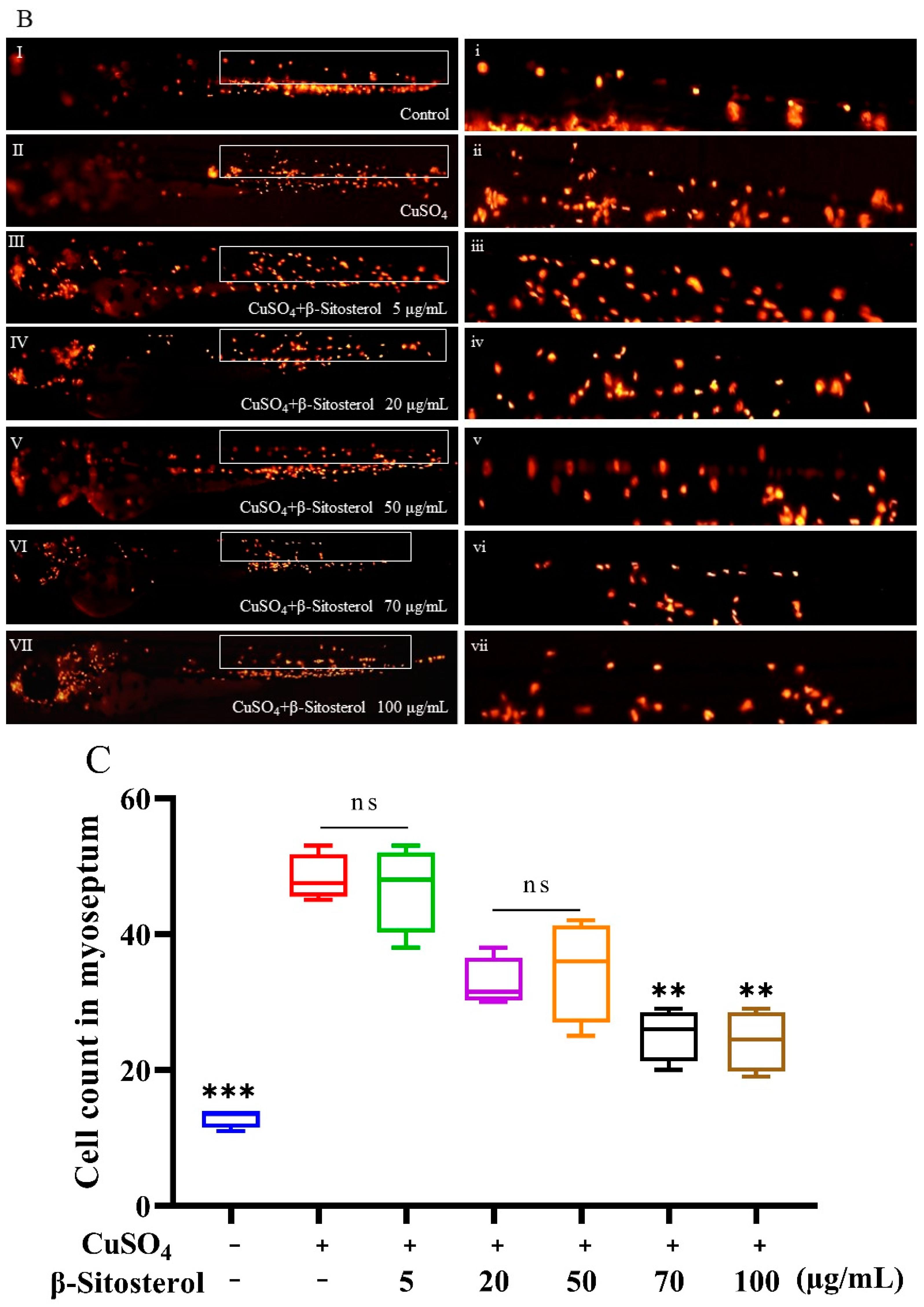 Antioxidants 12 00391 g005b Antioxidants 12 00391 g005b