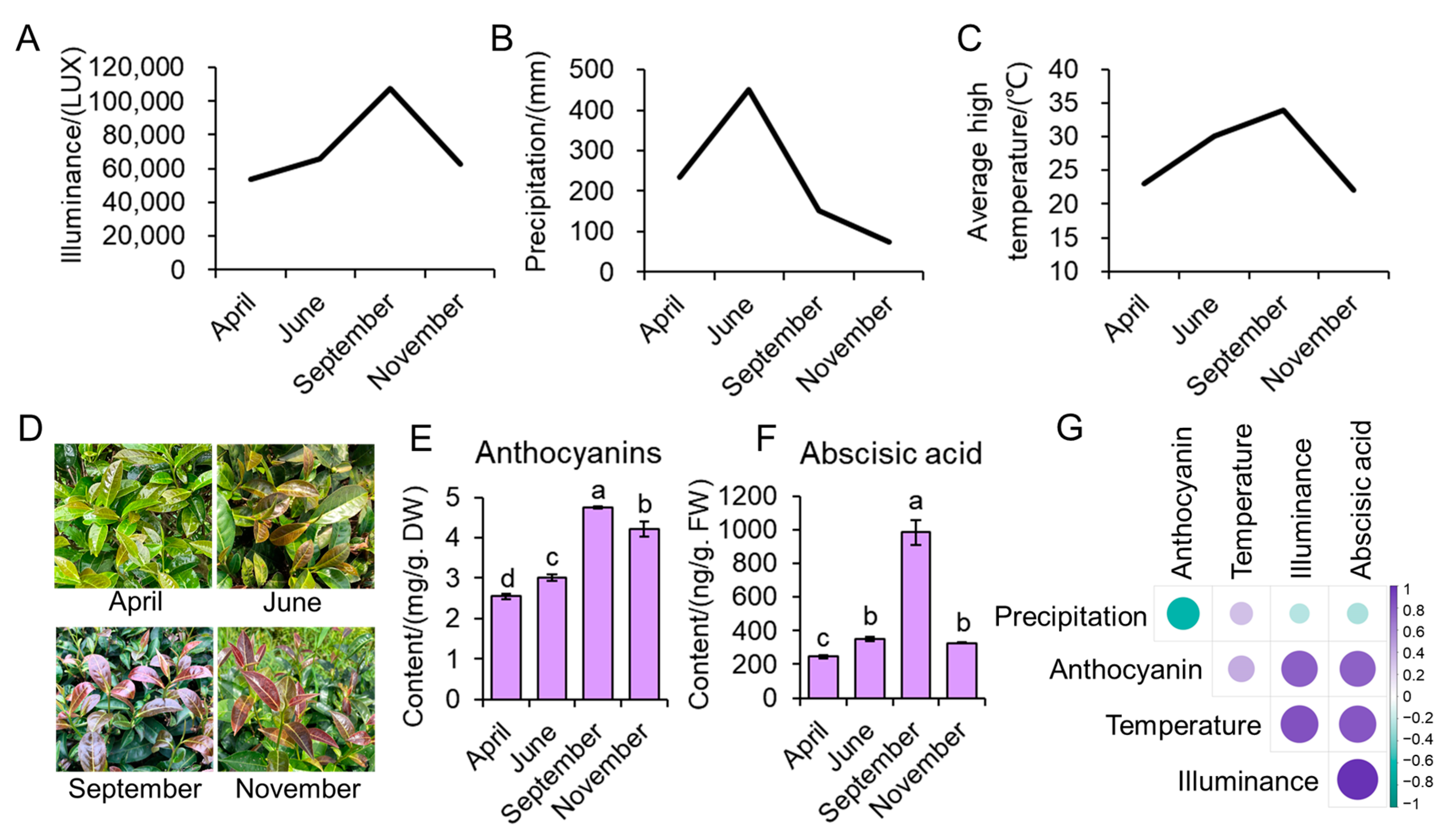 Antioxidants 12 00392 g001 Antioxidants 12 00392 g001