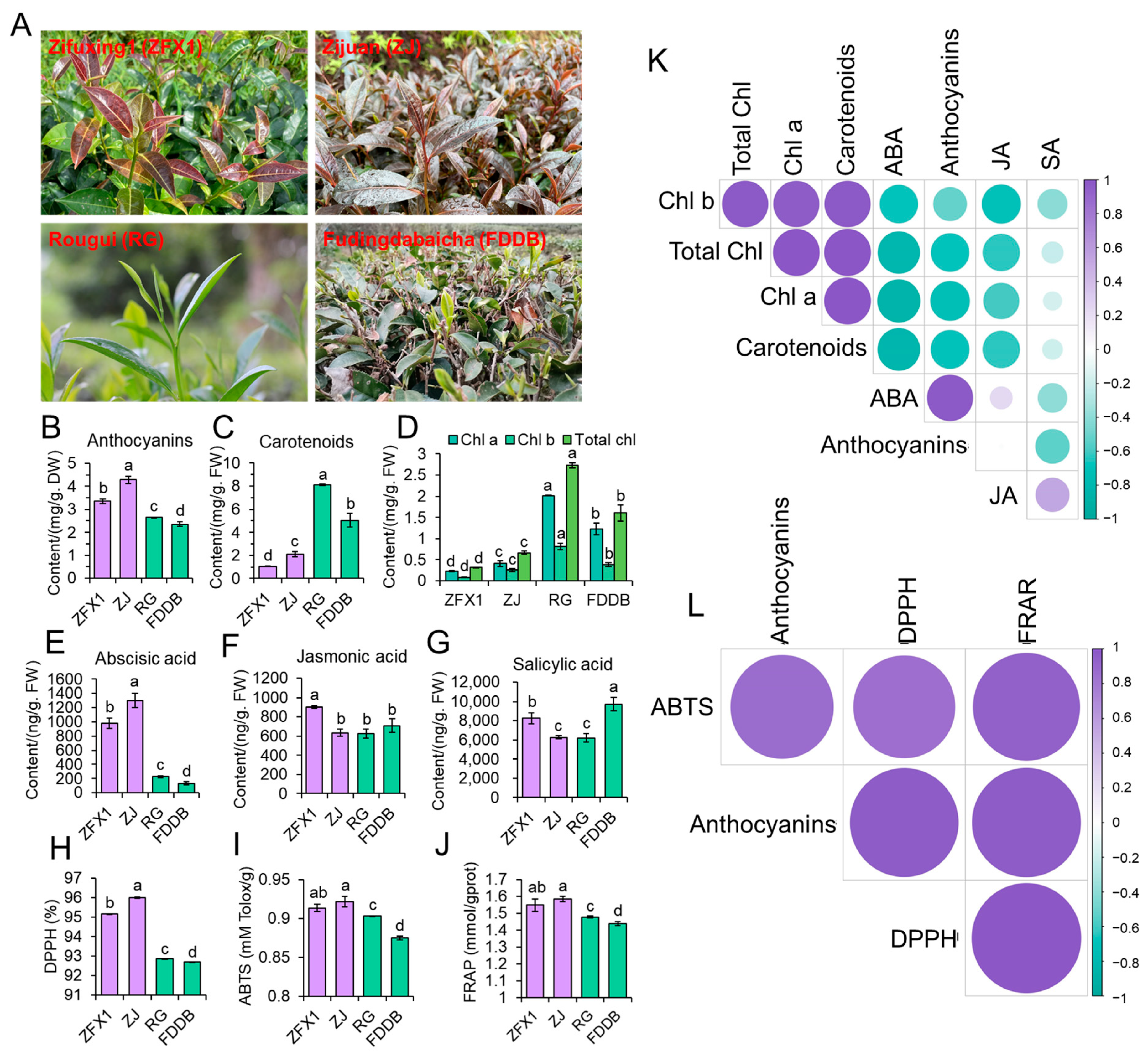 Antioxidants 12 00392 g003 Antioxidants 12 00392 g003
