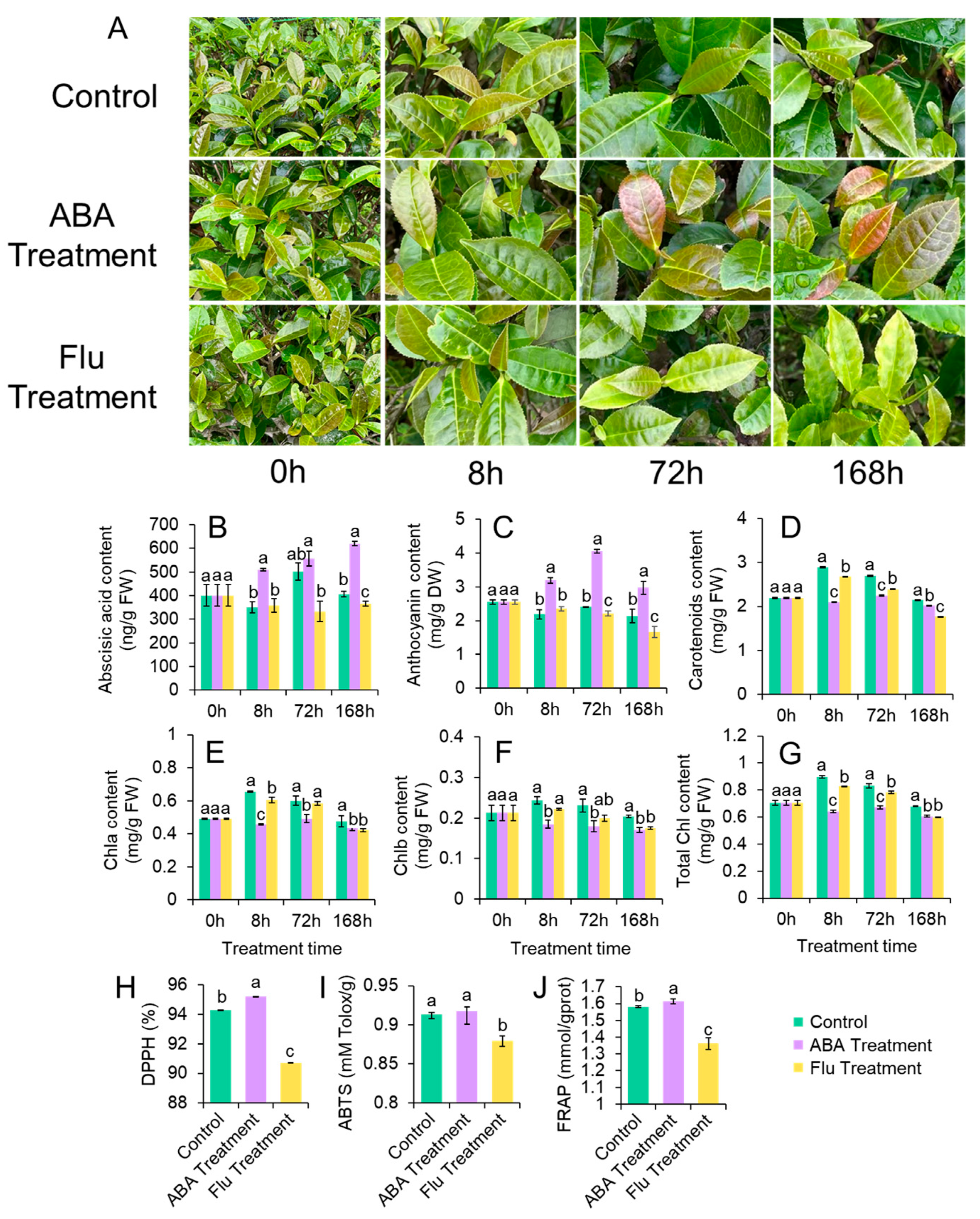 Antioxidants 12 00392 g004 Antioxidants 12 00392 g004