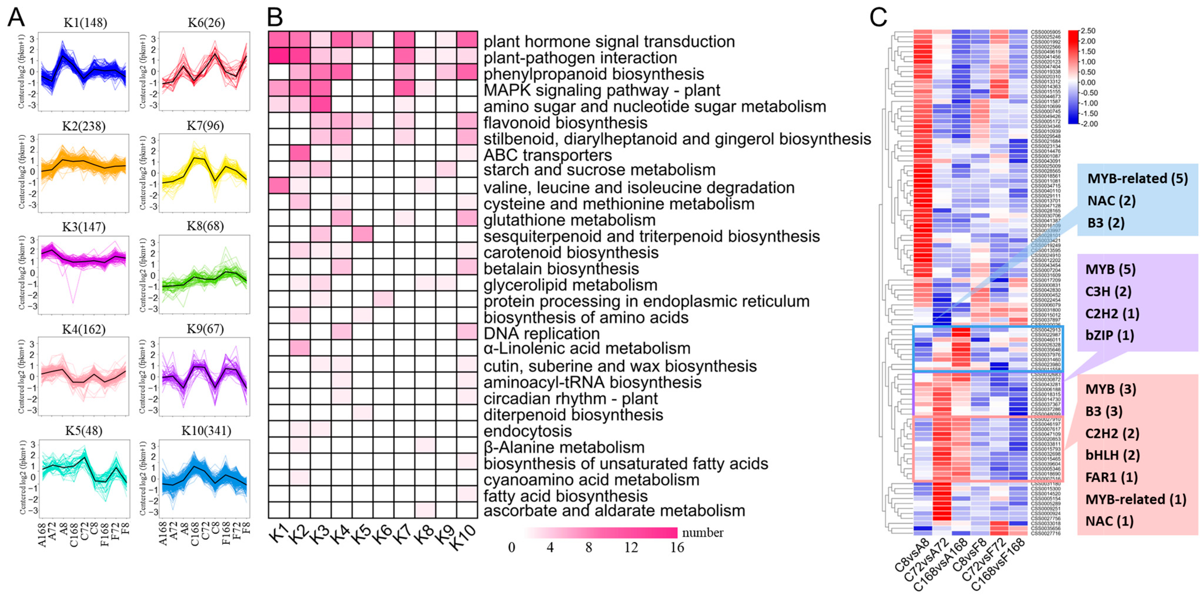 Antioxidants 12 00392 g005 Antioxidants 12 00392 g005