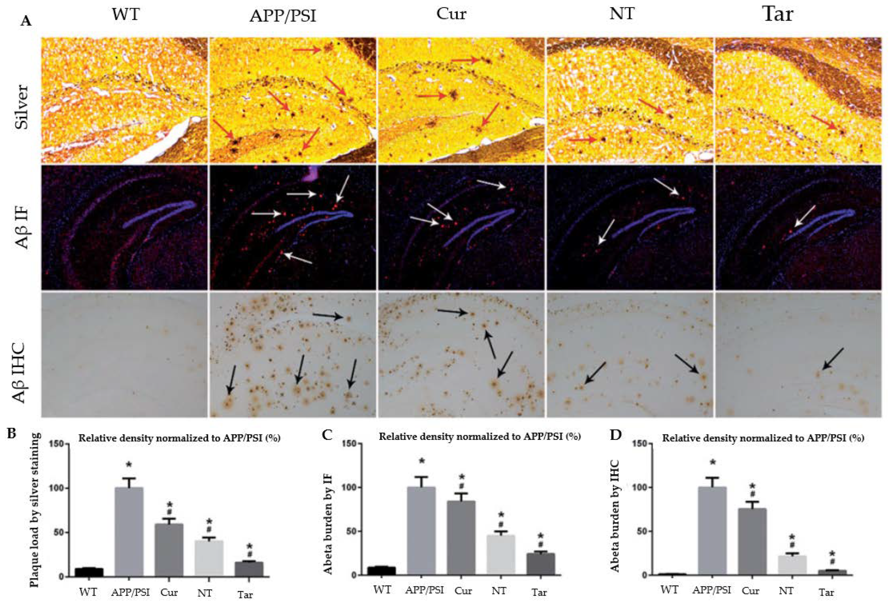 Antioxidants 12 00393 g006 Antioxidants 12 00393 g006