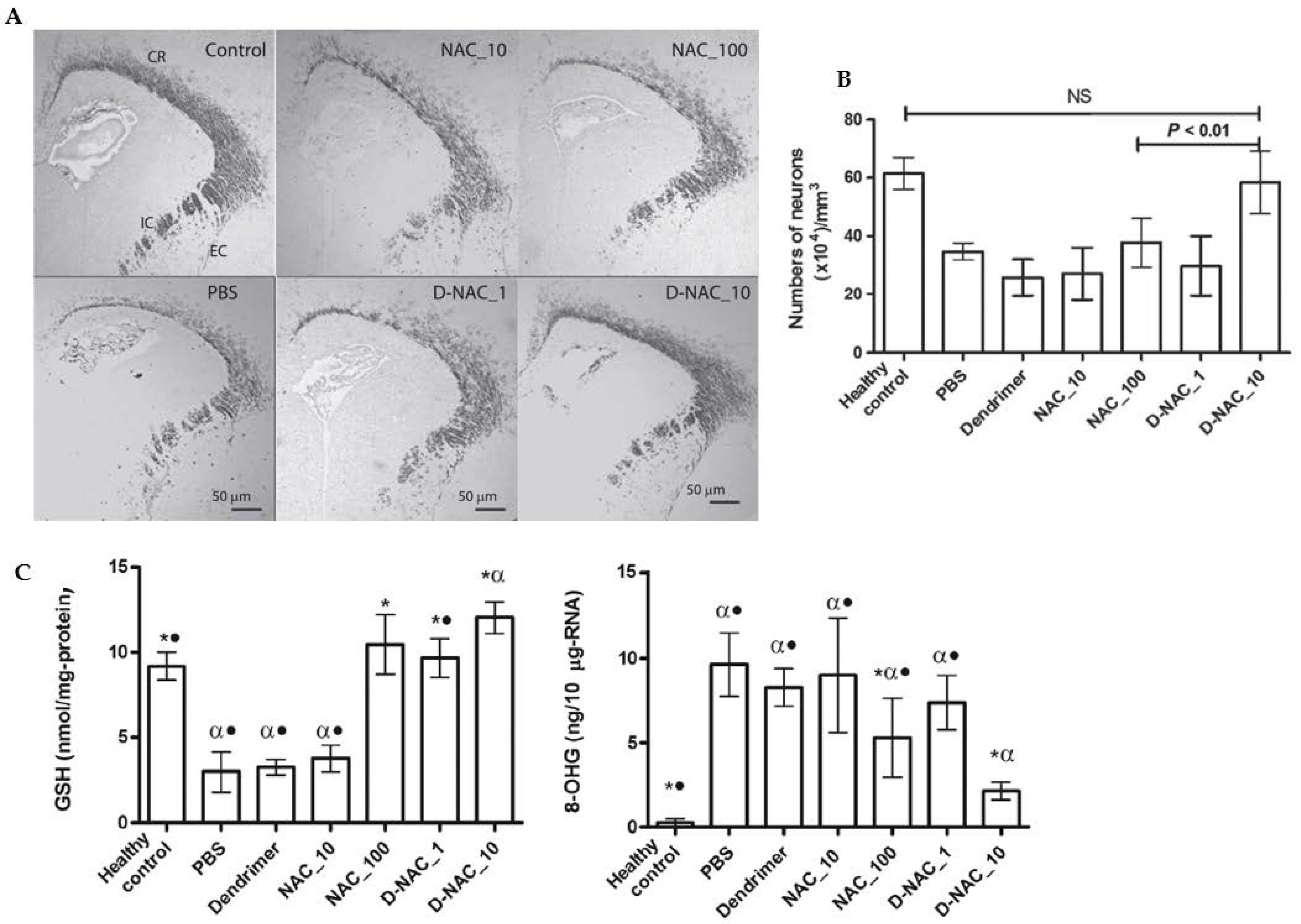 Antioxidants 12 00393 g007 Antioxidants 12 00393 g007