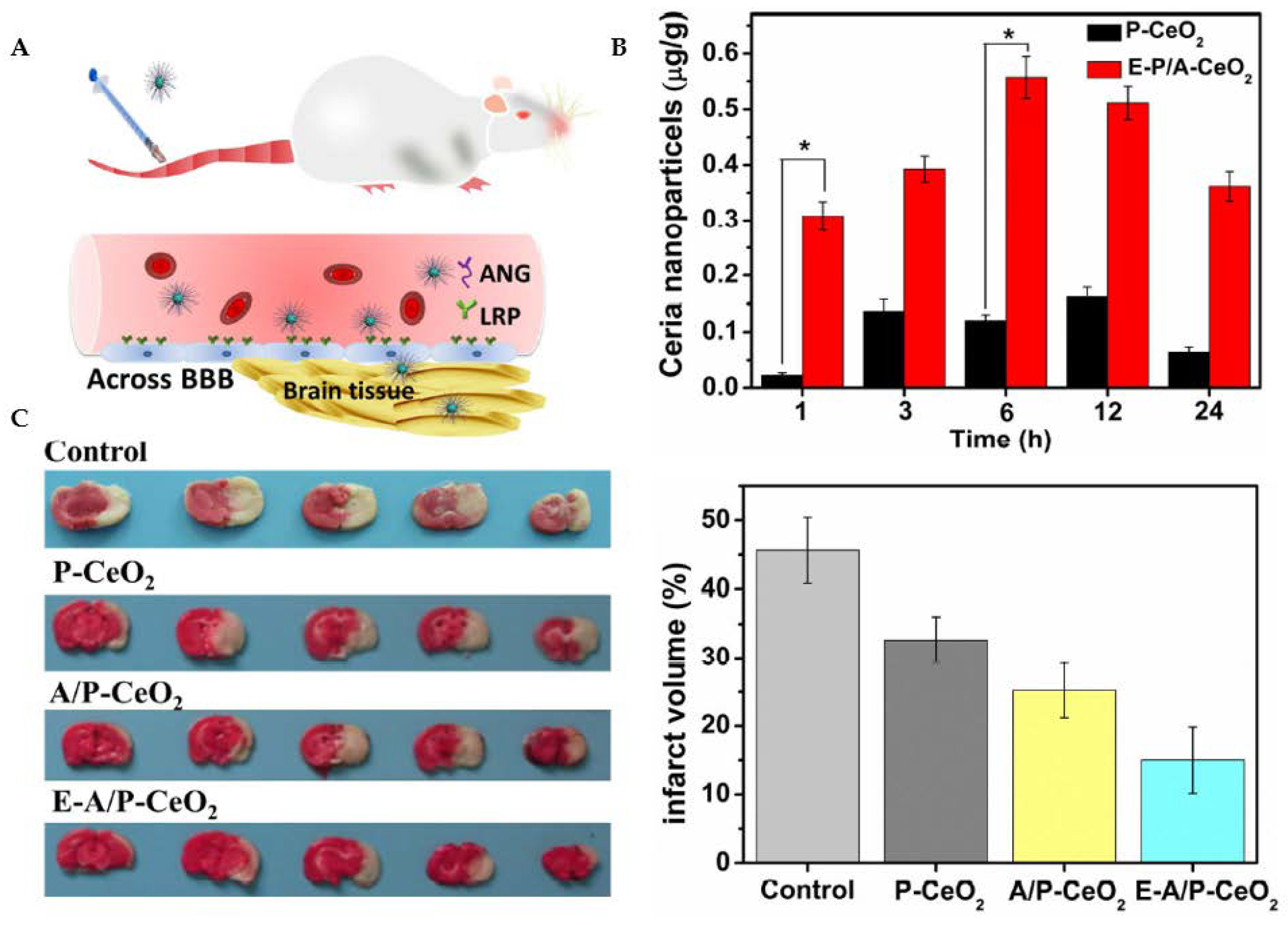 Antioxidants 12 00393 g009 Antioxidants 12 00393 g009