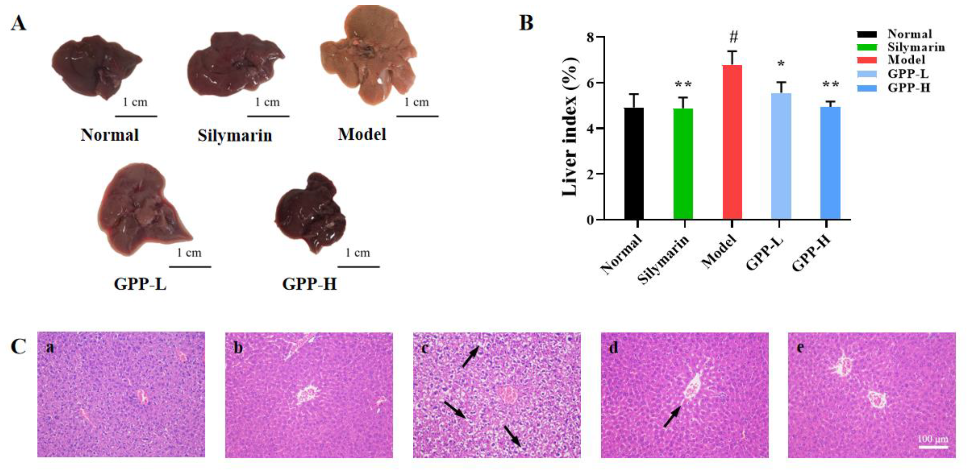 Antioxidants 12 00394 g005