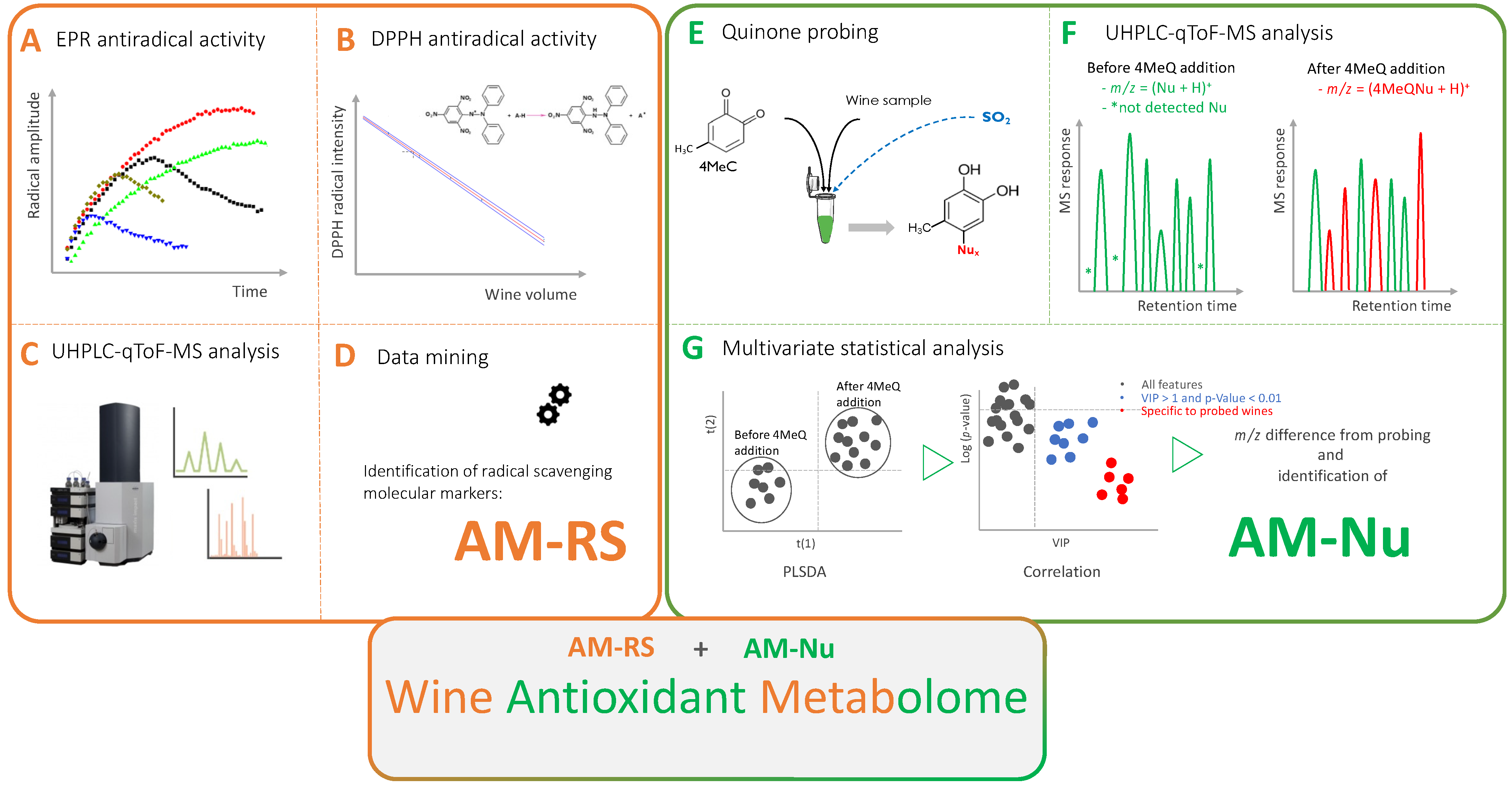 Antioxidants 12 00395 g002