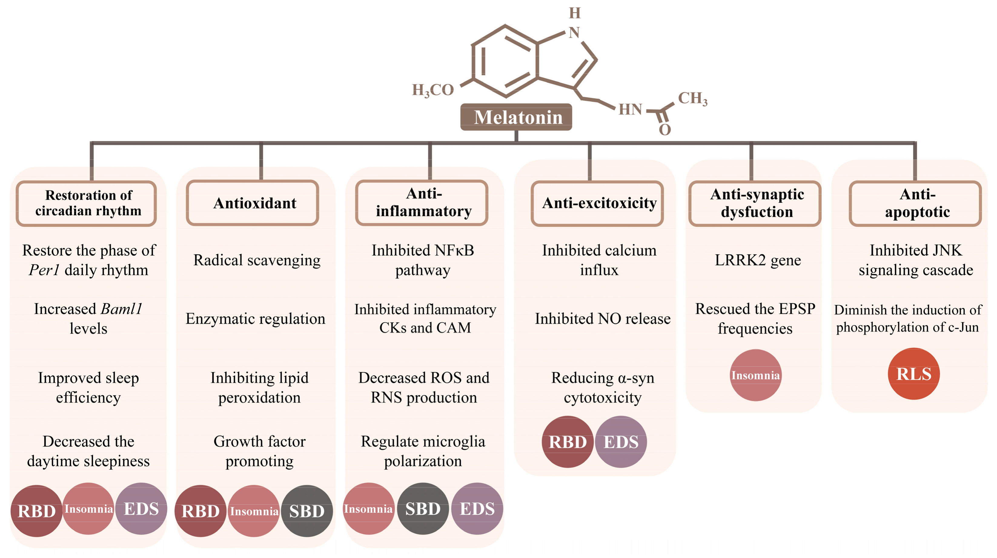 Antioxidants 12 00396 g001 Antioxidants 12 00396 g001