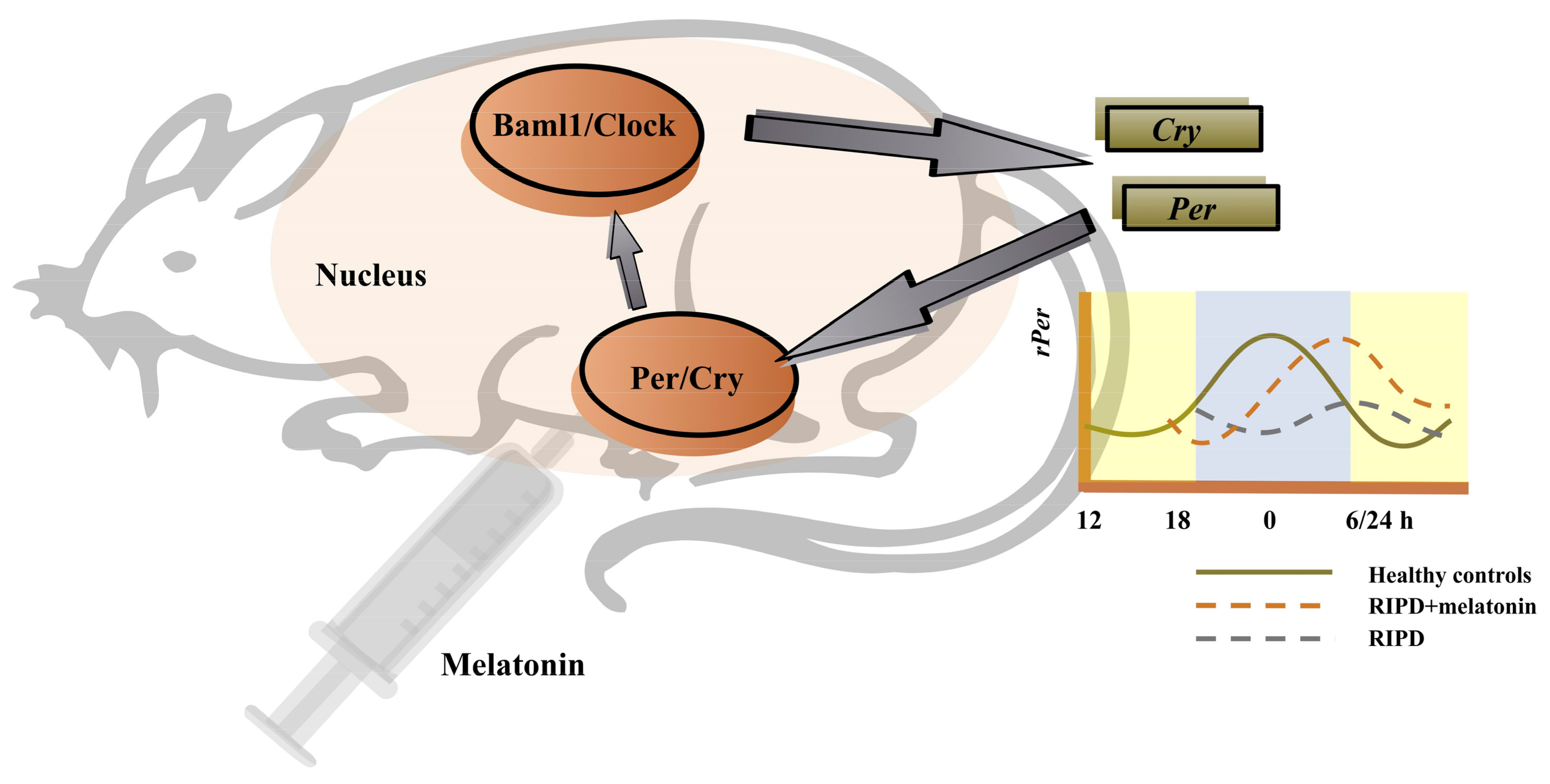 Antioxidants 12 00396 g002 Antioxidants 12 00396 g002