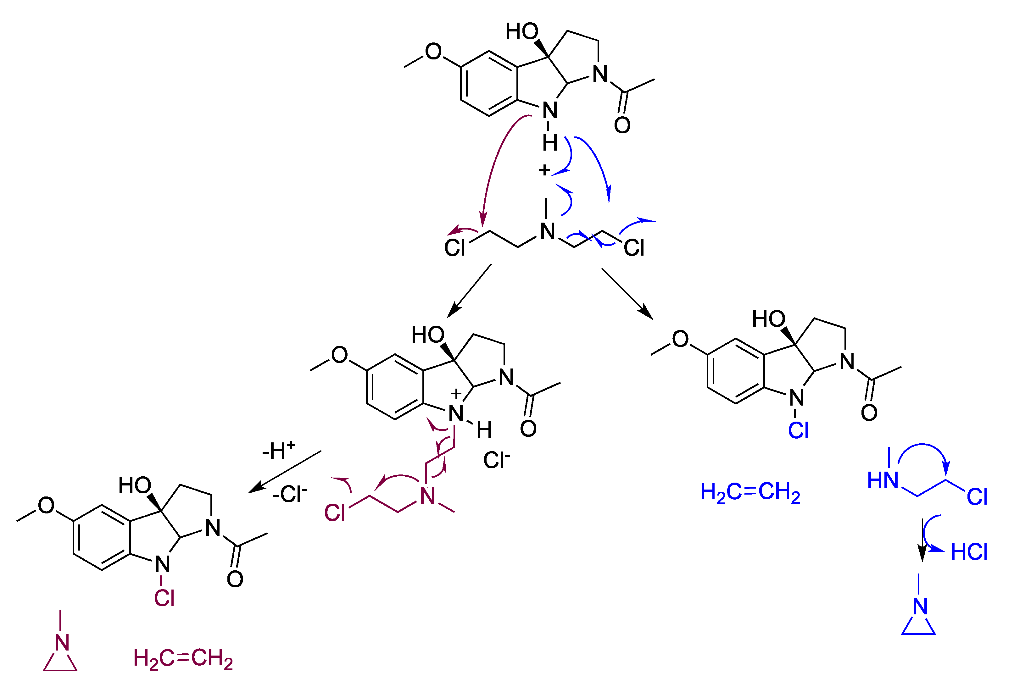 Antioxidants 12 00397 g001 Antioxidants 12 00397 g001