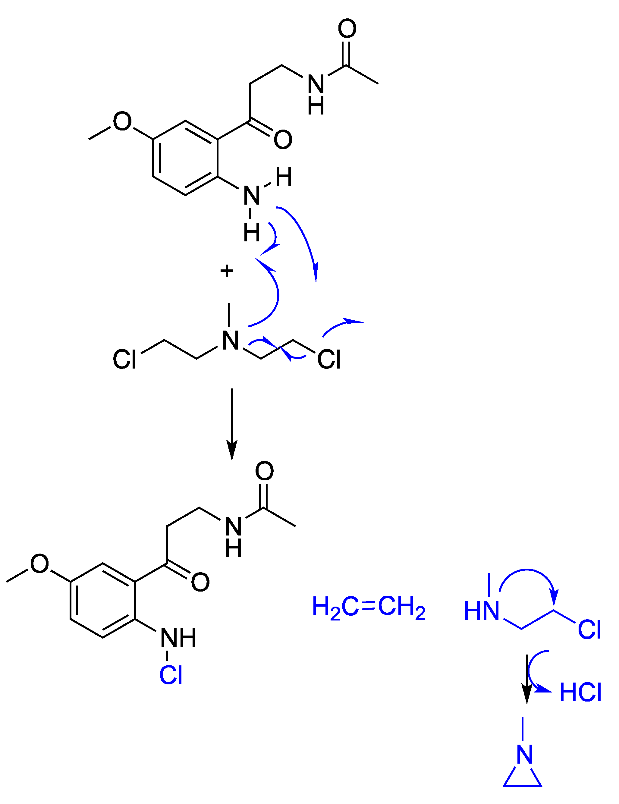 Antioxidants 12 00397 g002 Antioxidants 12 00397 g002