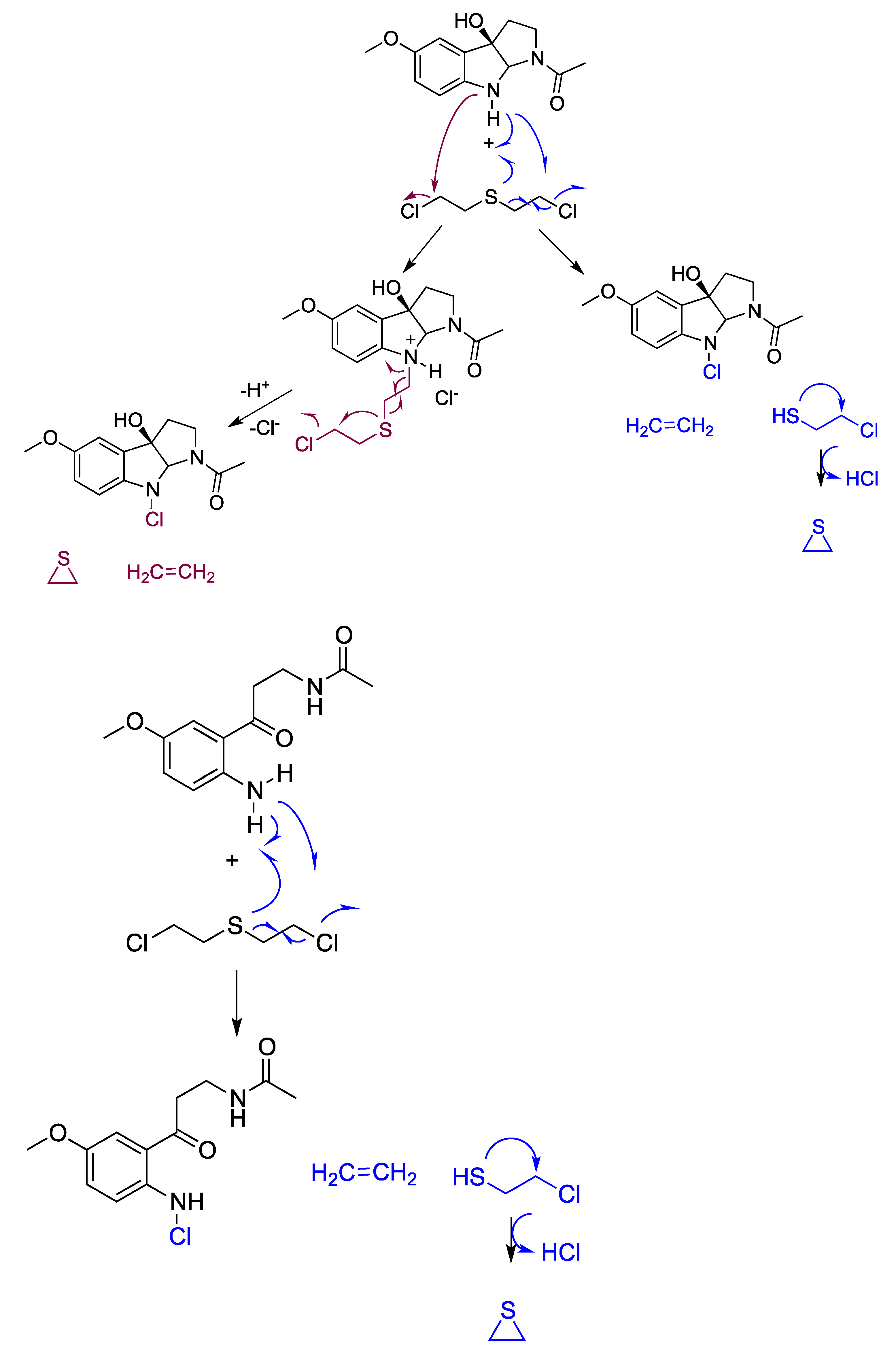 Antioxidants 12 00397 g003 Antioxidants 12 00397 g003