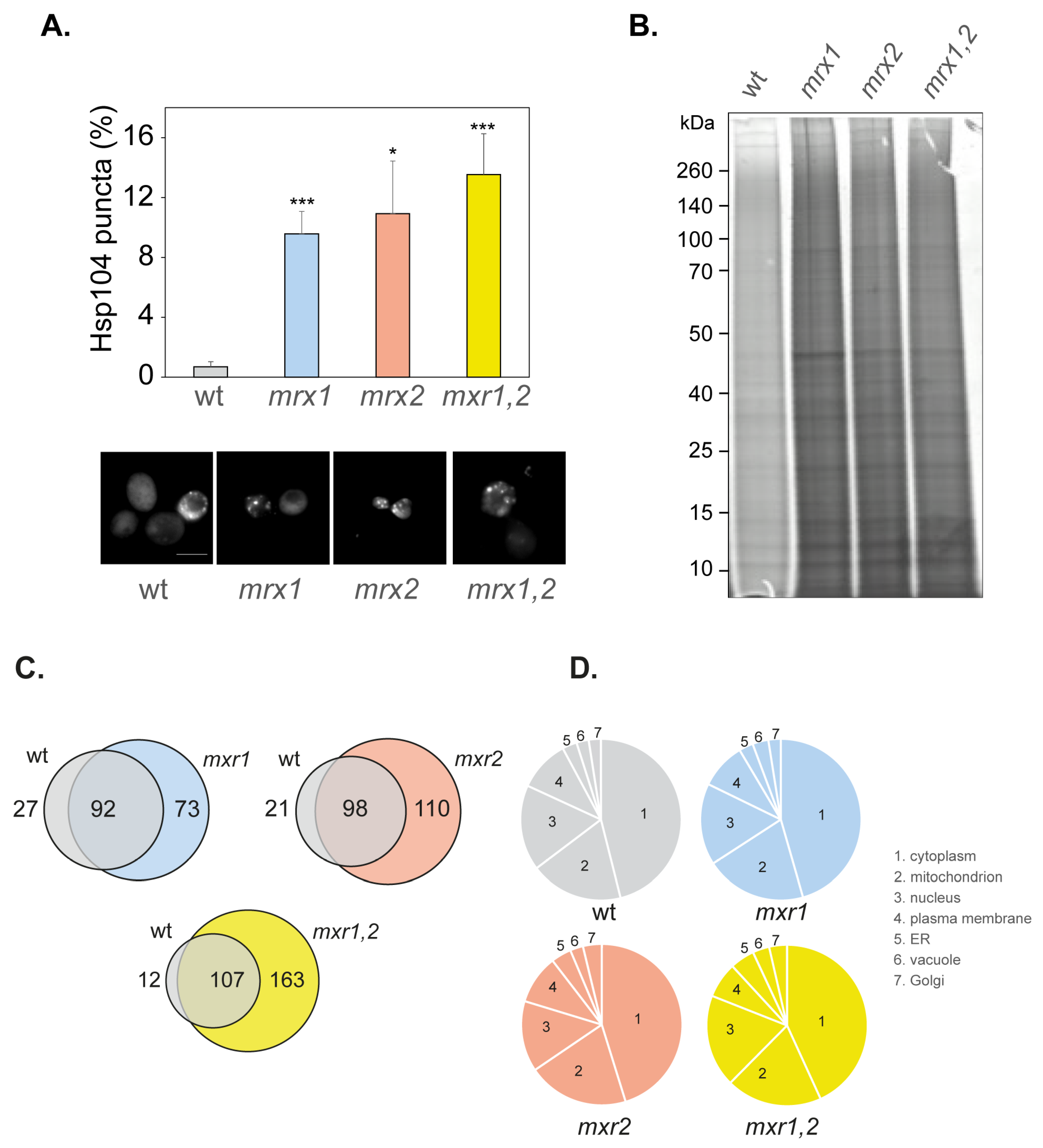 Antioxidants 12 00401 g003 Antioxidants 12 00401 g003