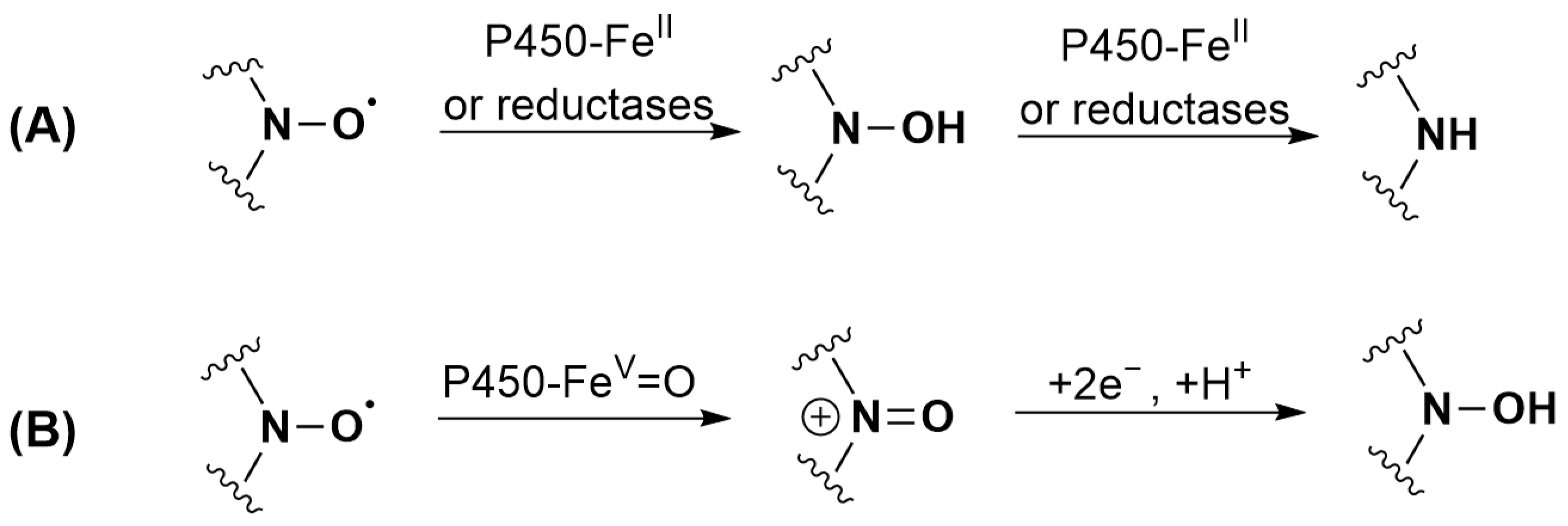 Antioxidants 12 00402 g004