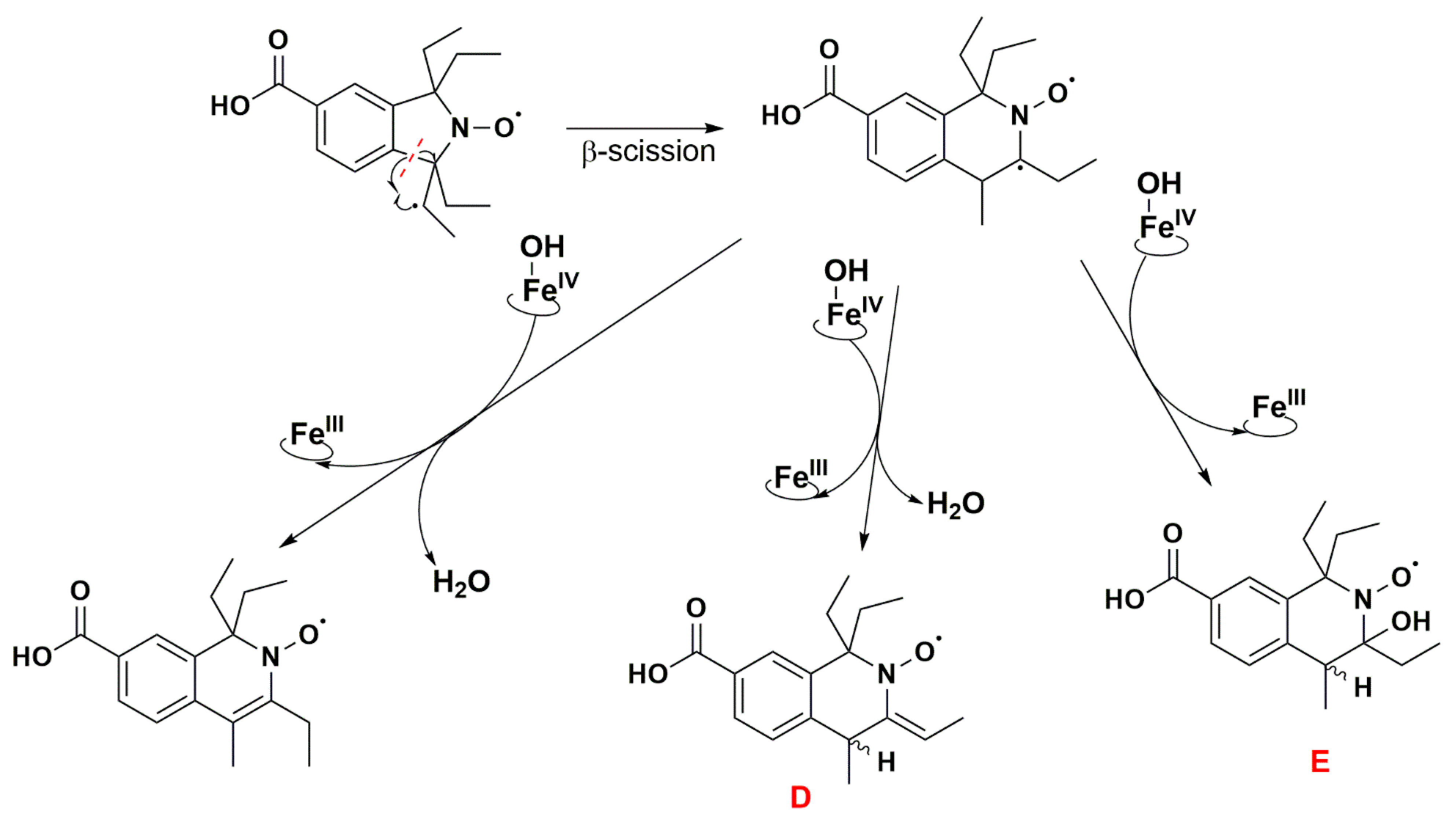 Antioxidants 12 00402 g010