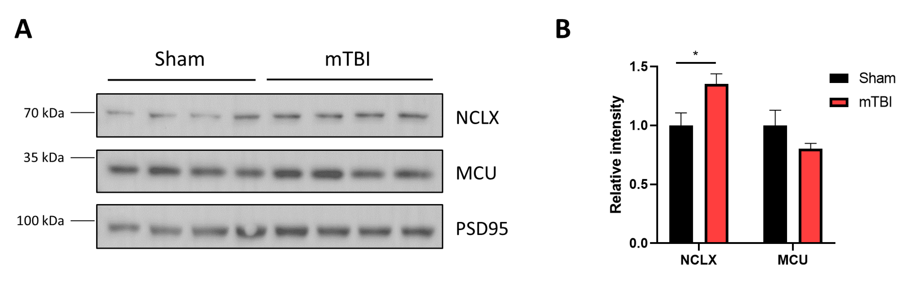 Antioxidants 12 00403 g006 Antioxidants 12 00403 g006