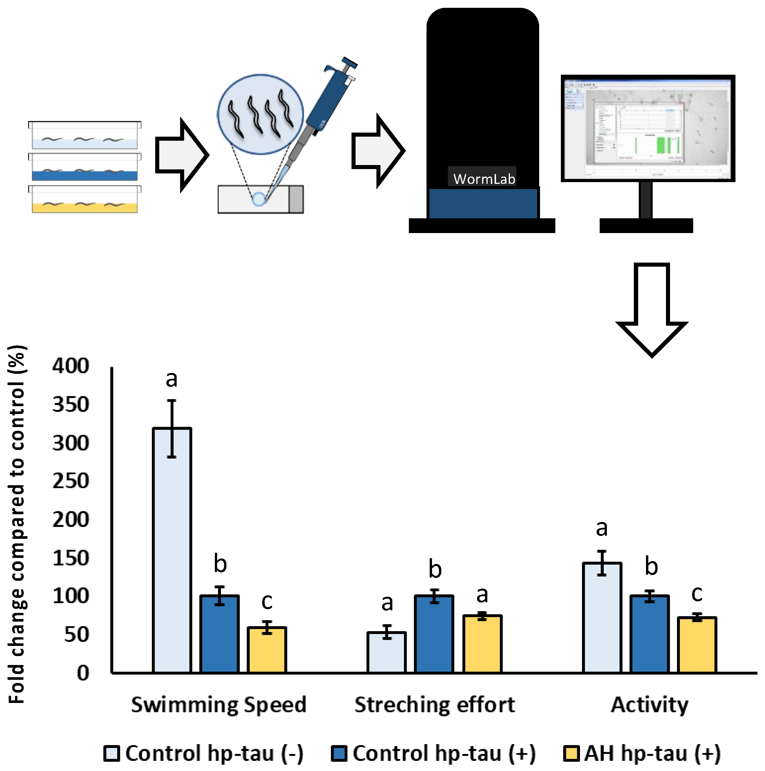 Antioxidants 12 00404 g006