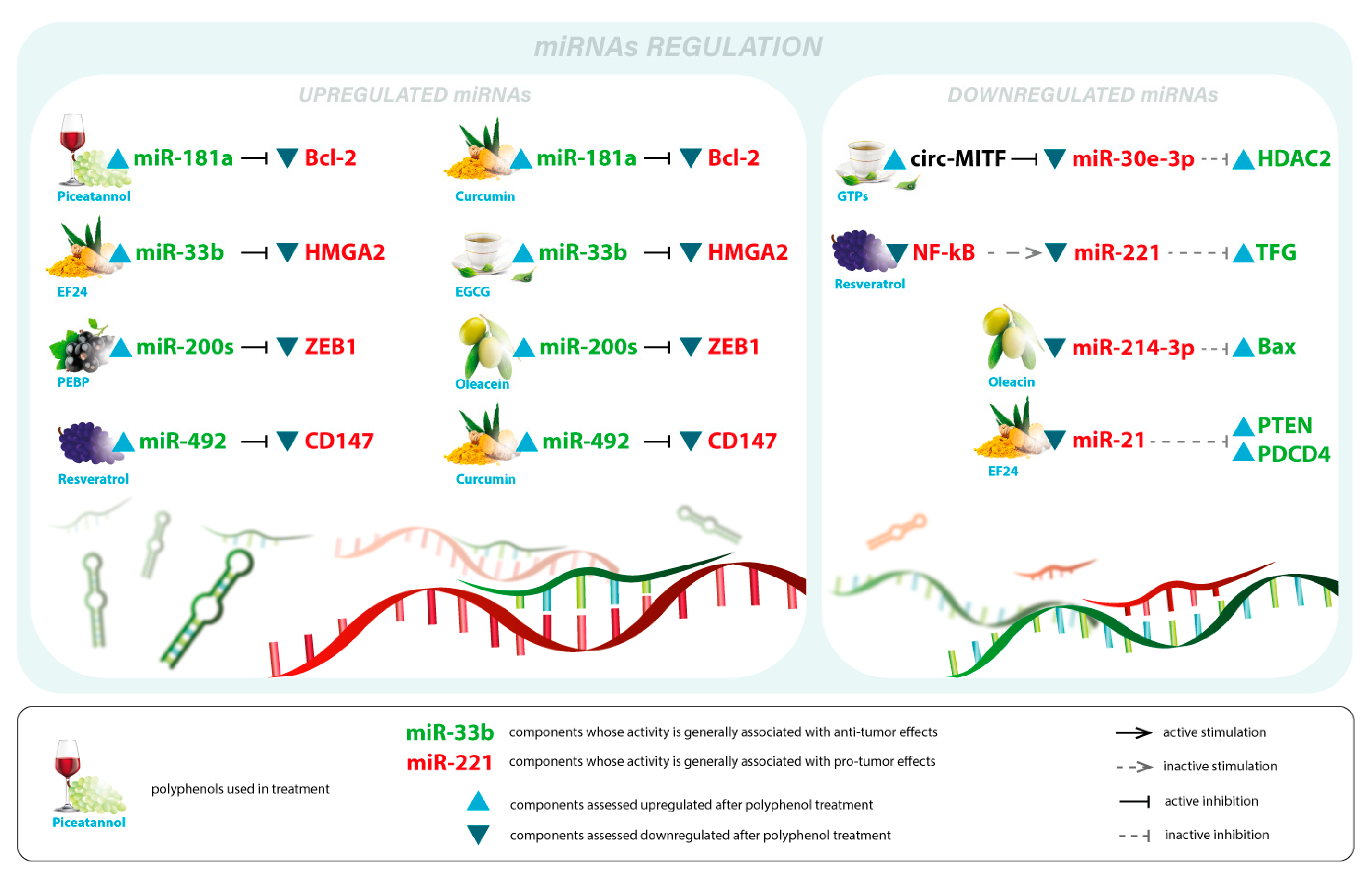 Antioxidants 12 00407 g004 Antioxidants 12 00407 g004