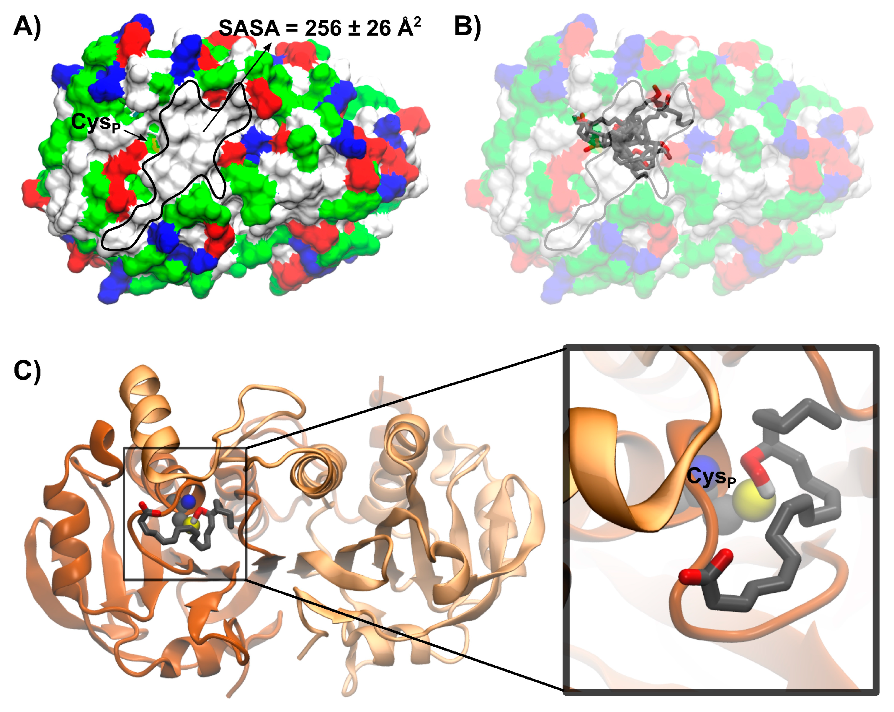 Antioxidants 12 00408 g007 Antioxidants 12 00408 g007