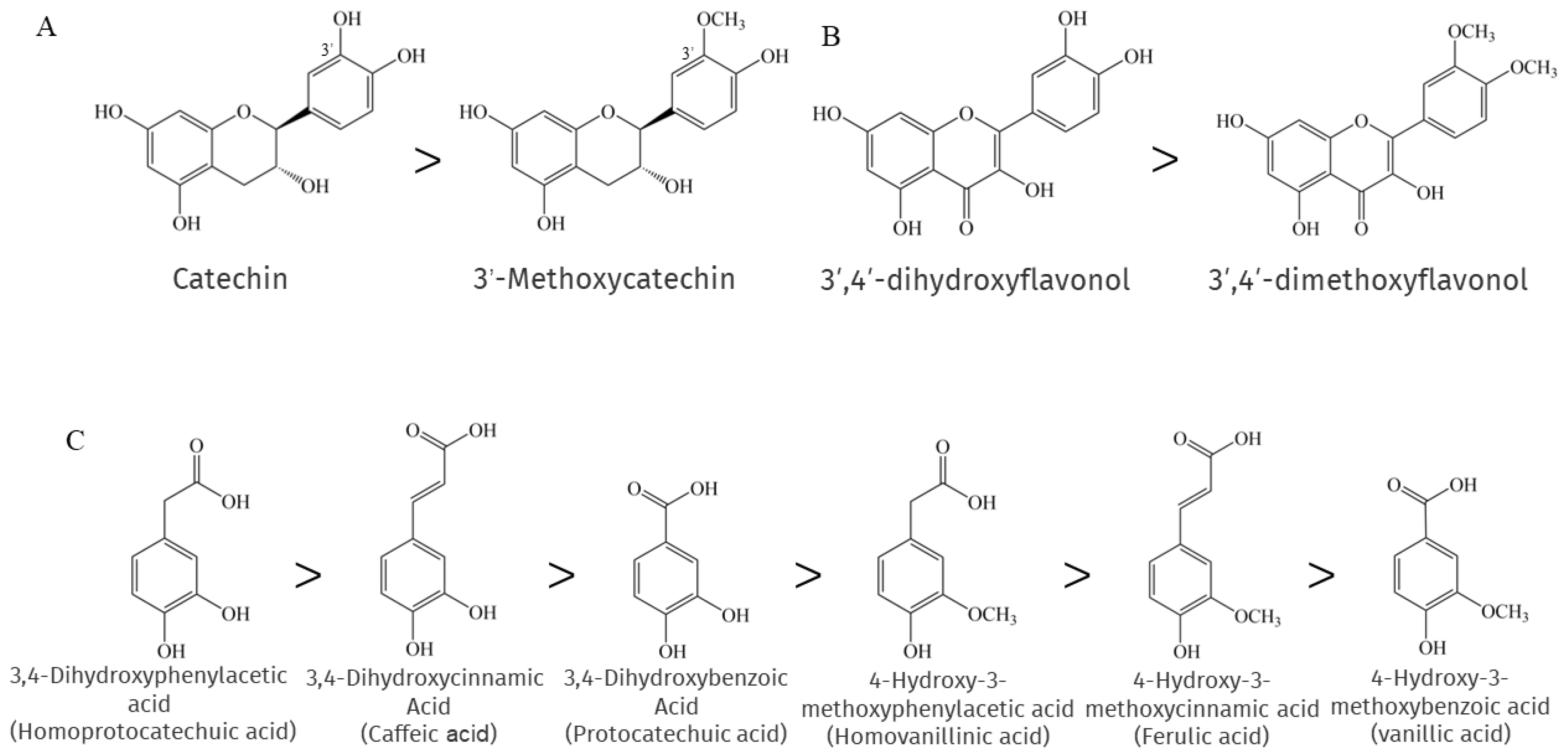 Antioxidants 12 00418 g002 Antioxidants 12 00418 g002