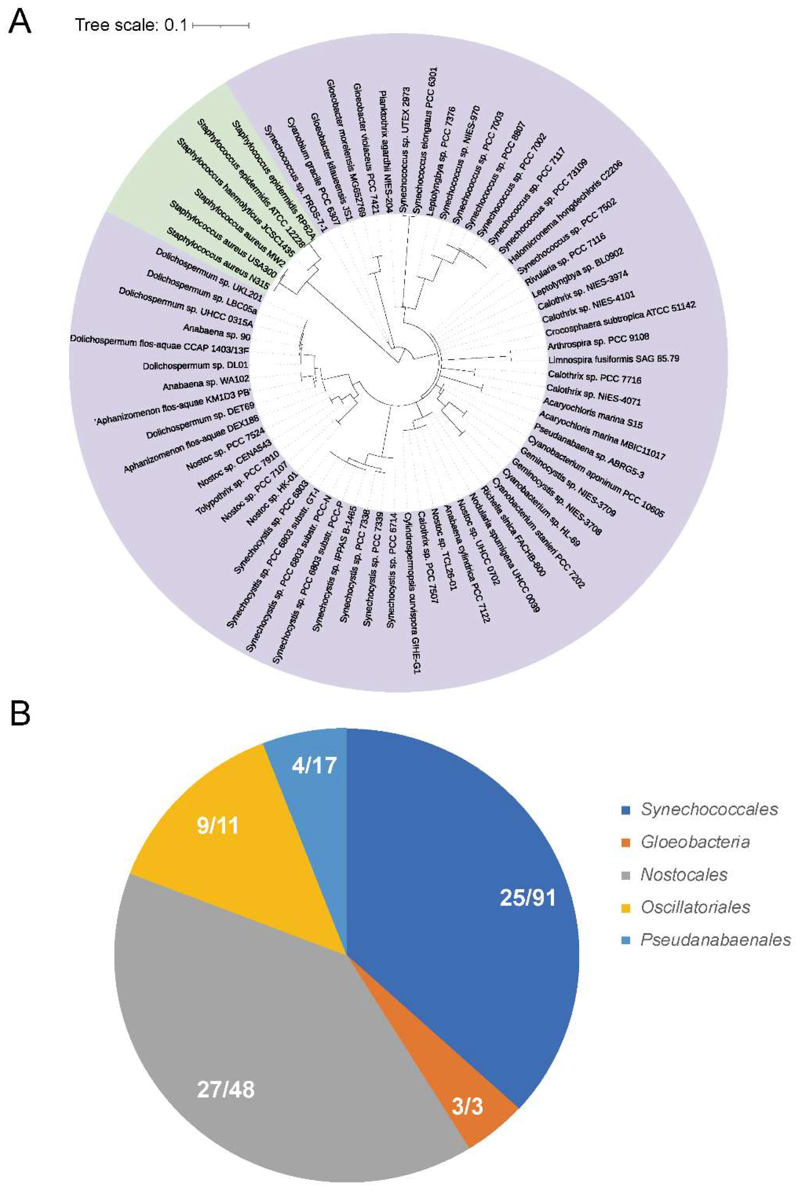 Antioxidants 12 00423 g001 Antioxidants 12 00423 g001