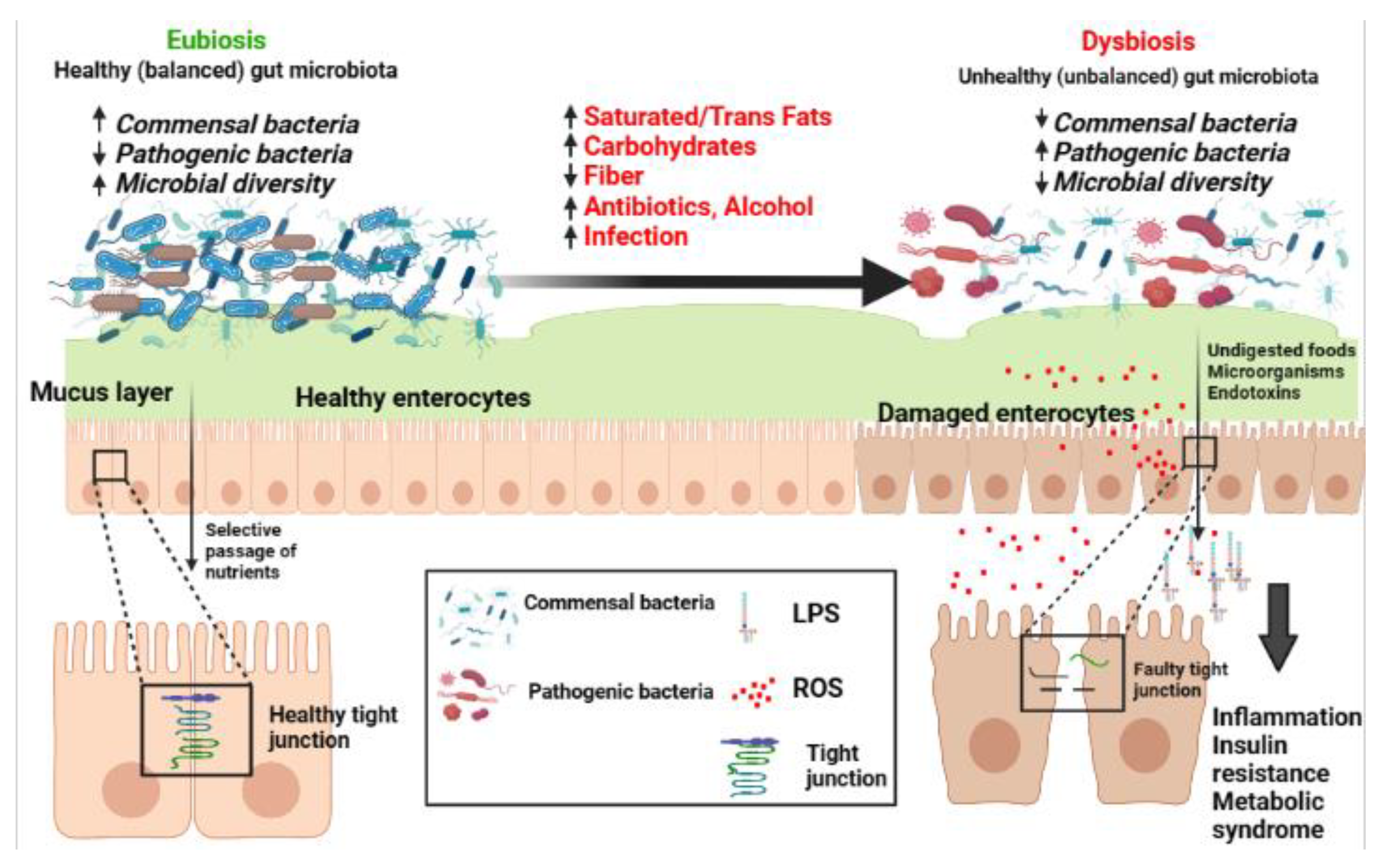 Antioxidants 12 00426 g001