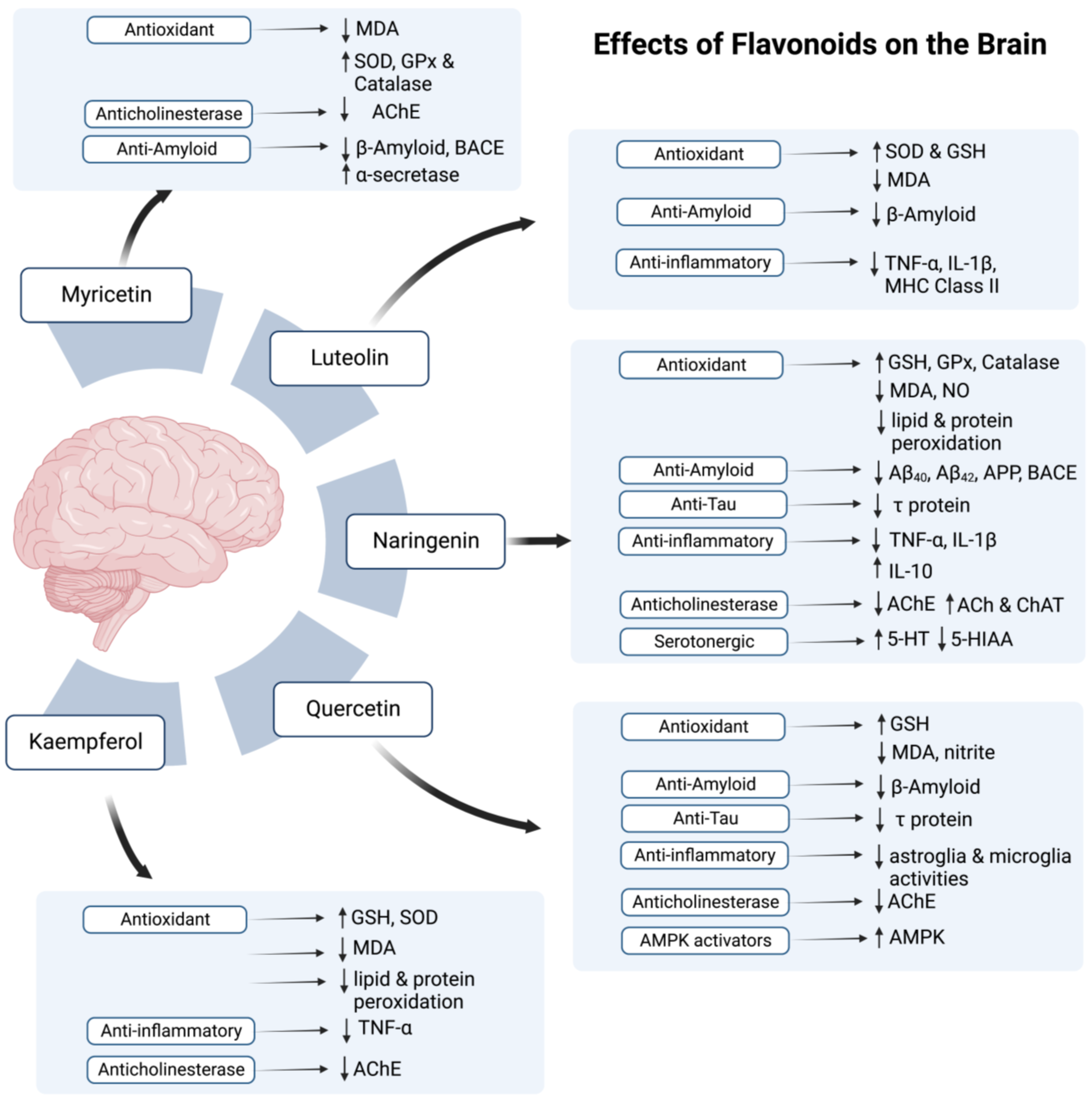 Antioxidants 12 00427 g002