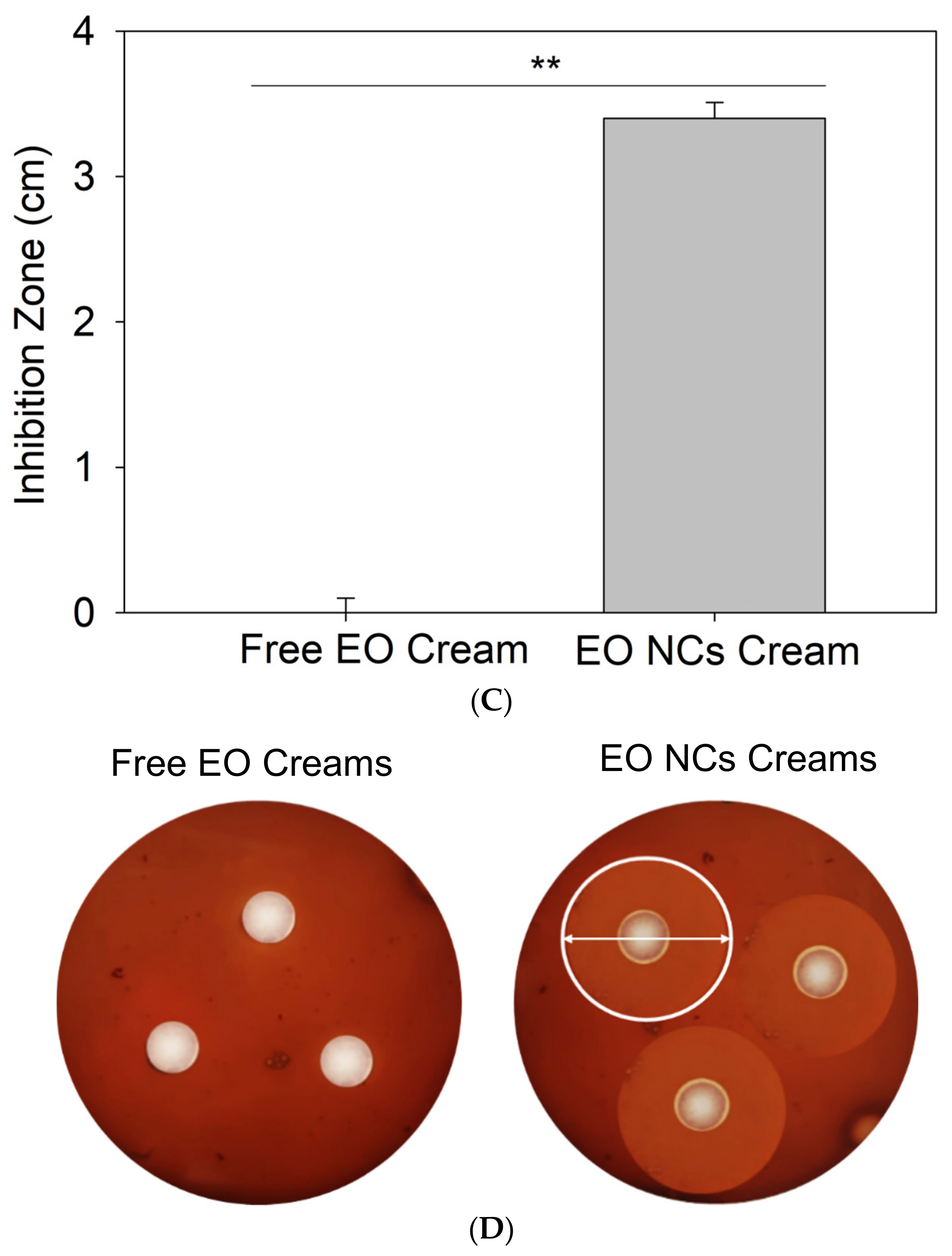 Antioxidants 12 00432 g003b