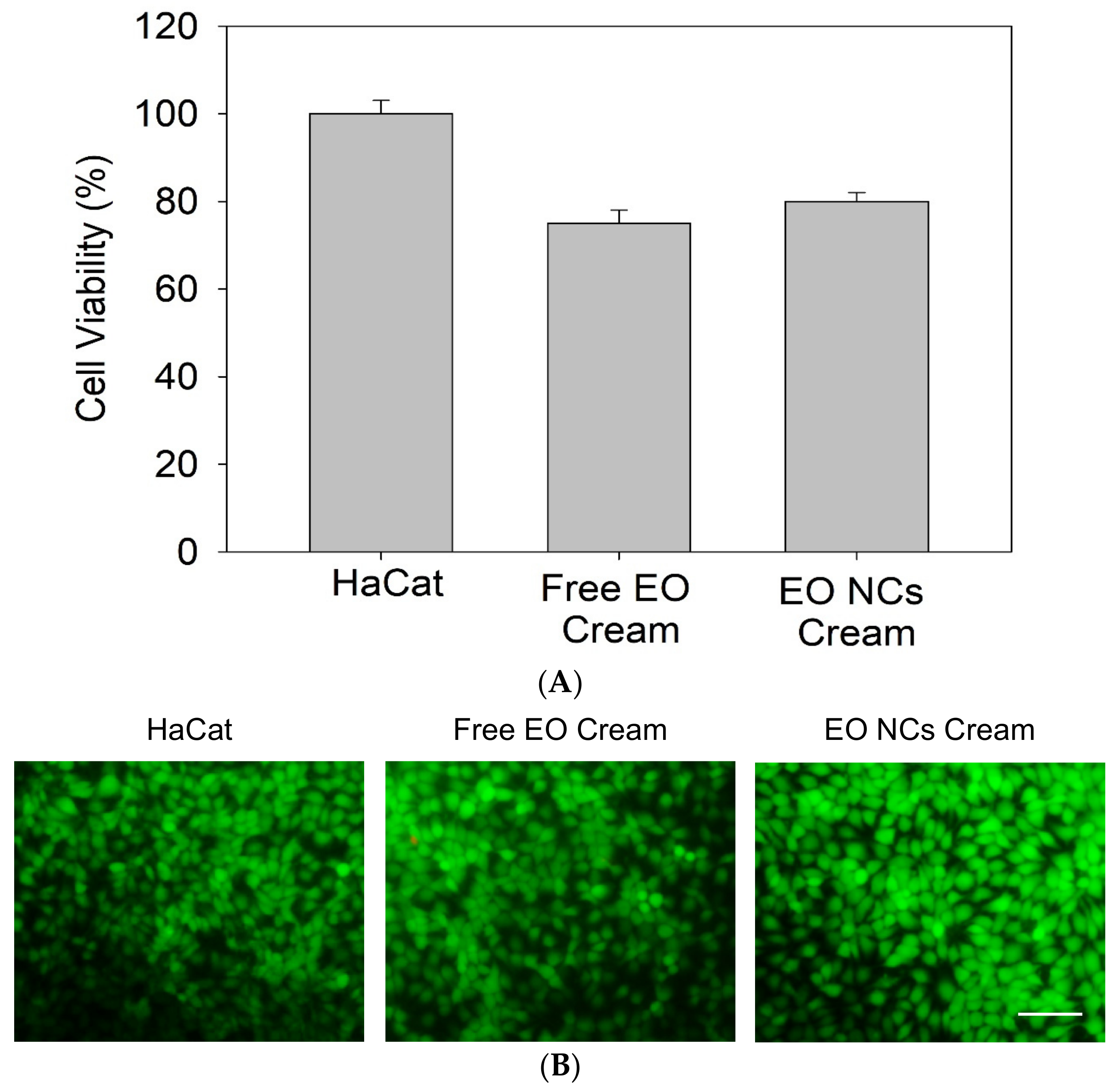 Antioxidants 12 00432 g006
