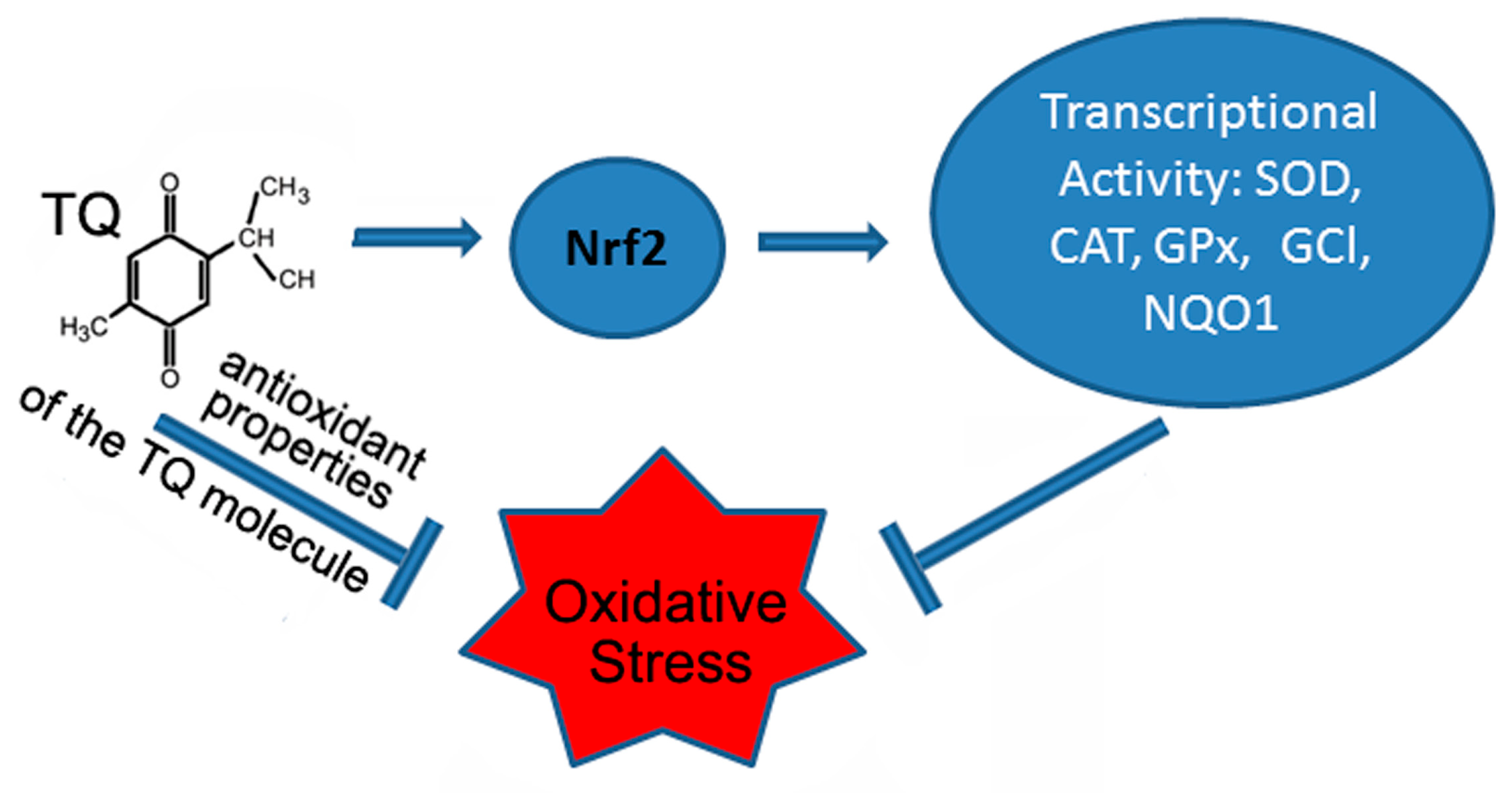 Antioxidants 12 00433 g001 Antioxidants 12 00433 g001