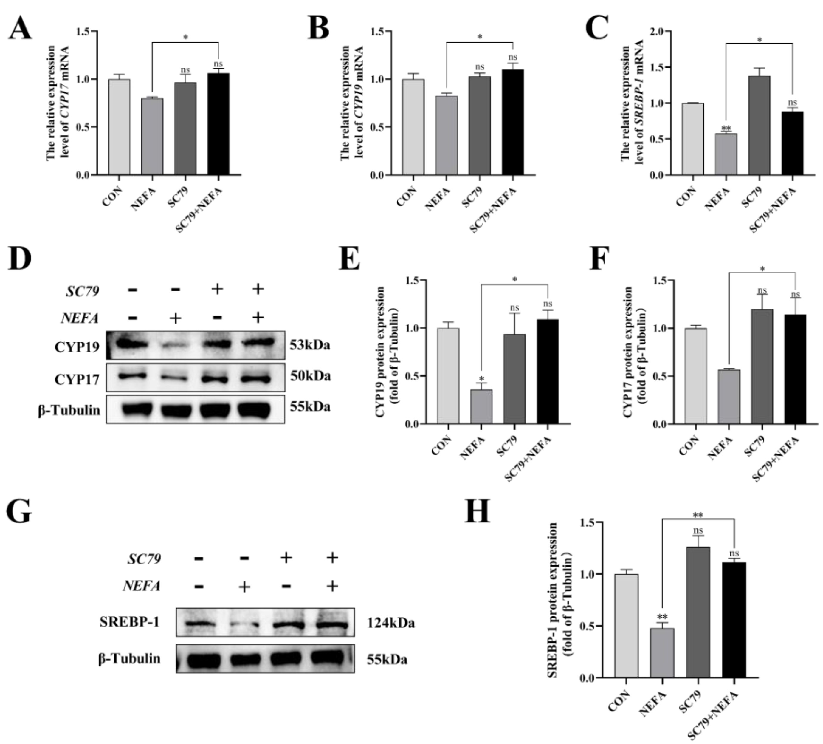 Antioxidants 12 00434 g008