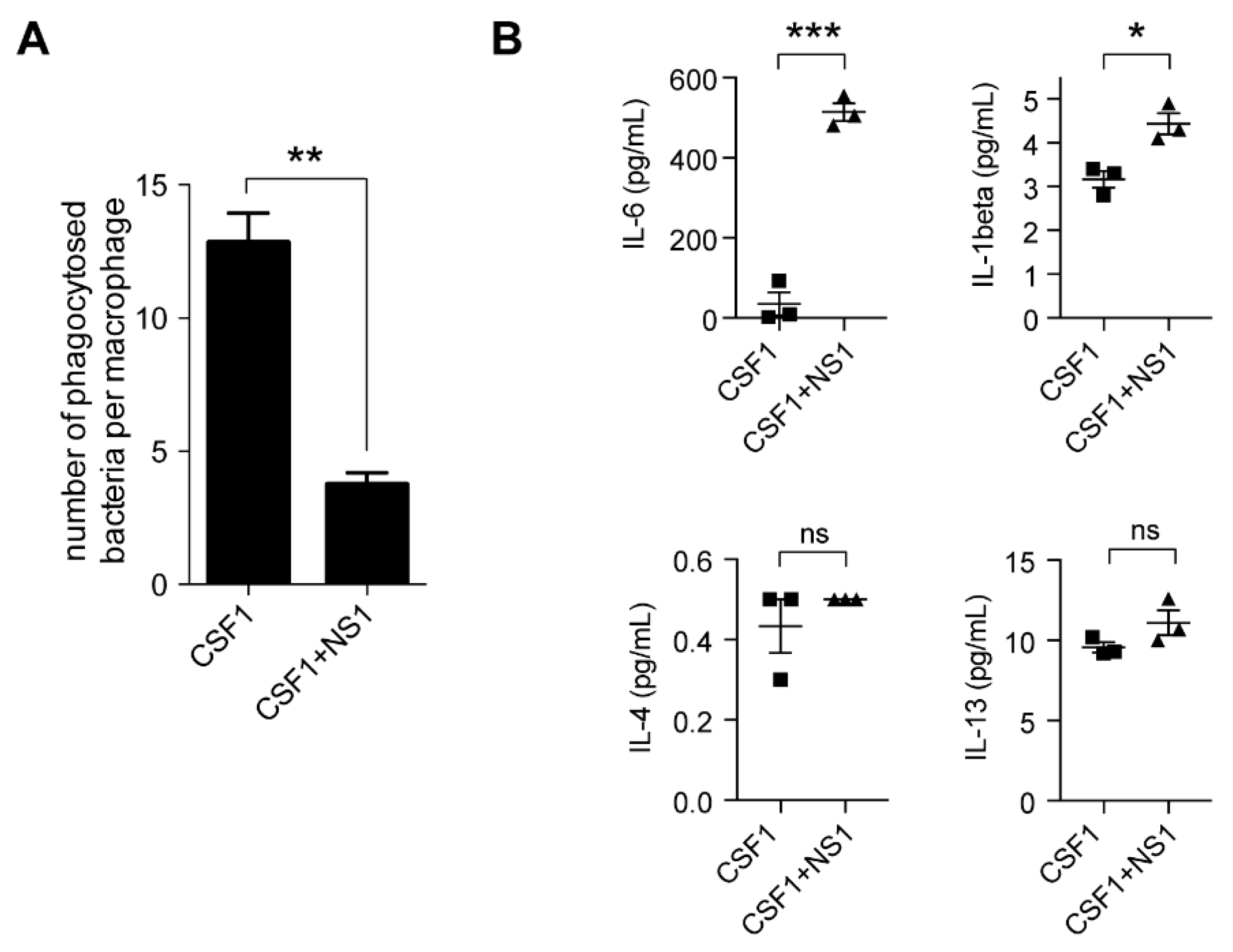 Antioxidants 12 00440 g002 Antioxidants 12 00440 g002