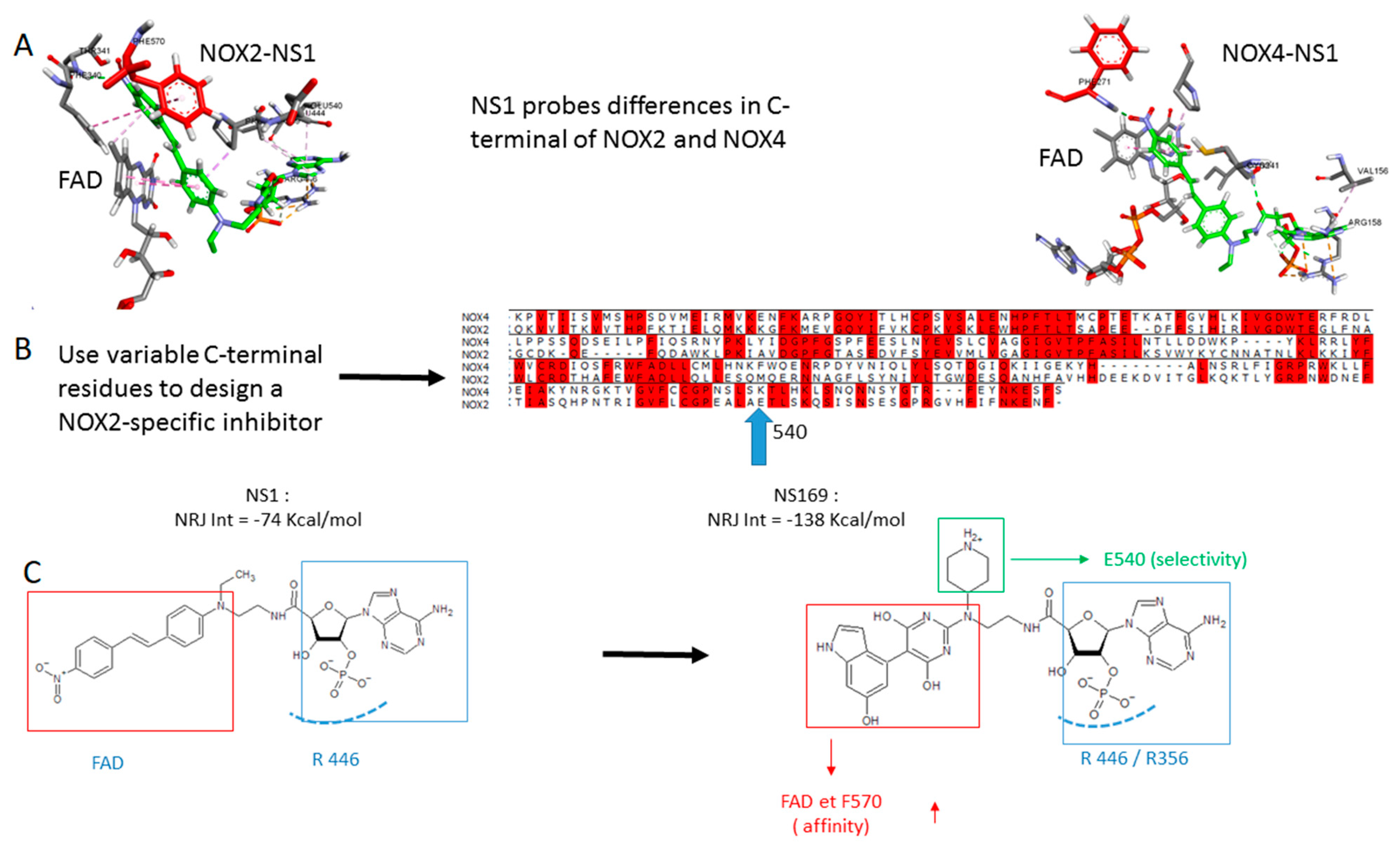Antioxidants 12 00440 g006 Antioxidants 12 00440 g006