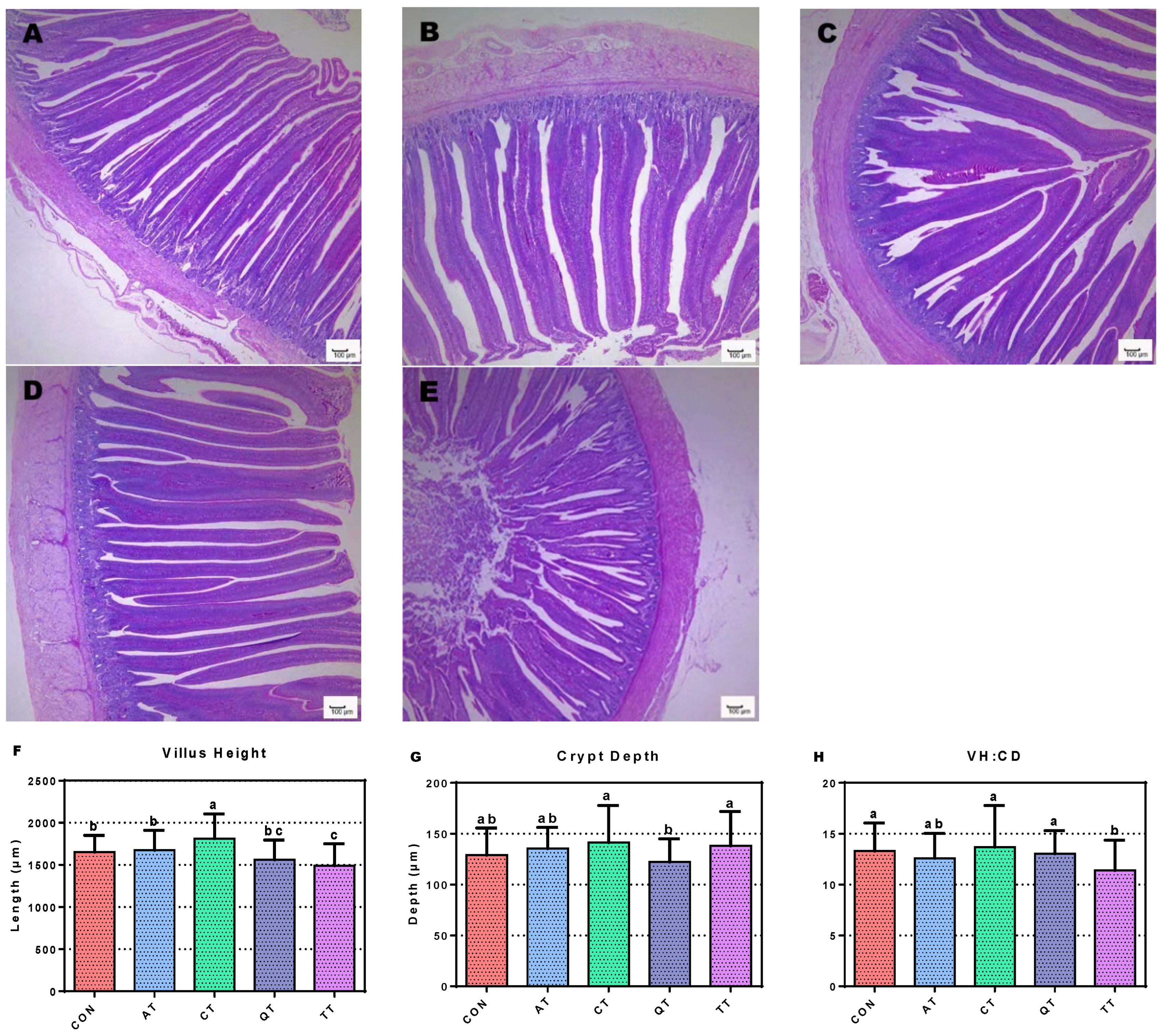 Antioxidants 12 00441 g004