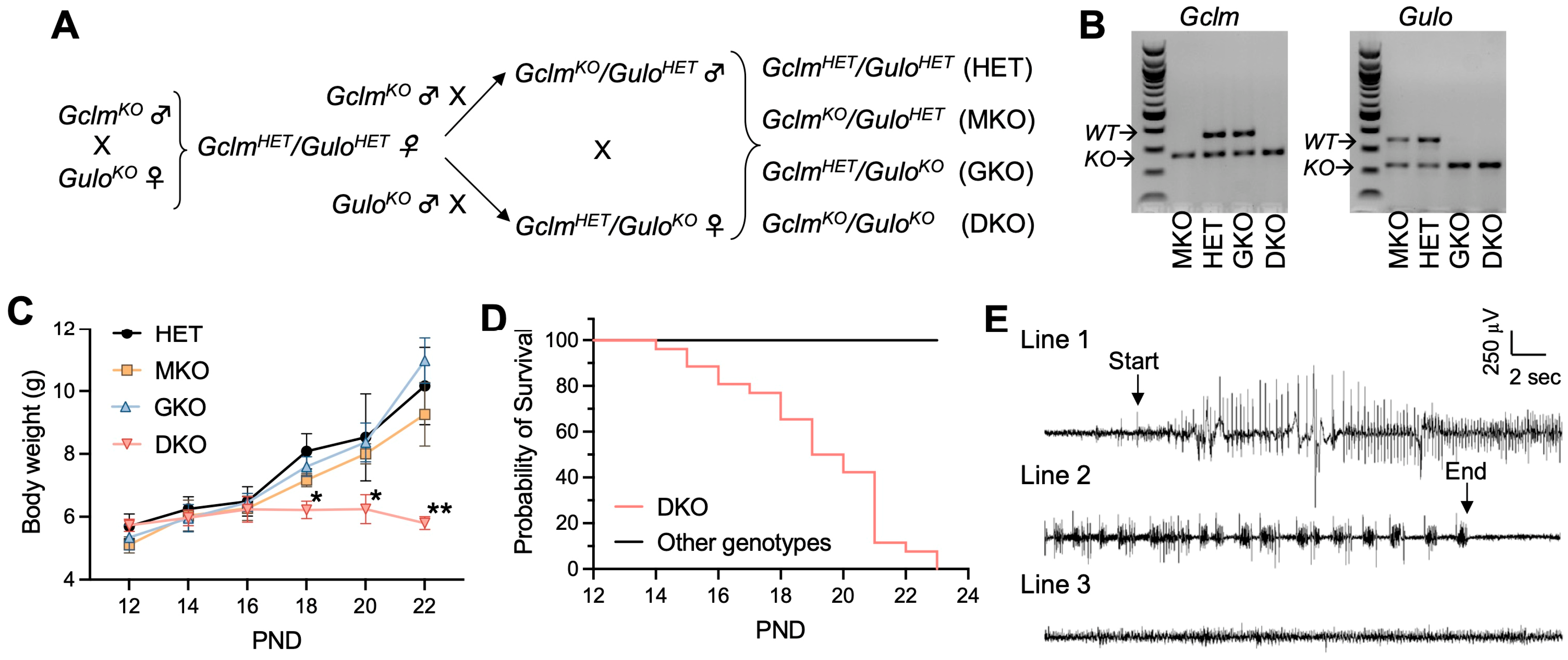 Antioxidants 12 00448 g001 Antioxidants 12 00448 g001