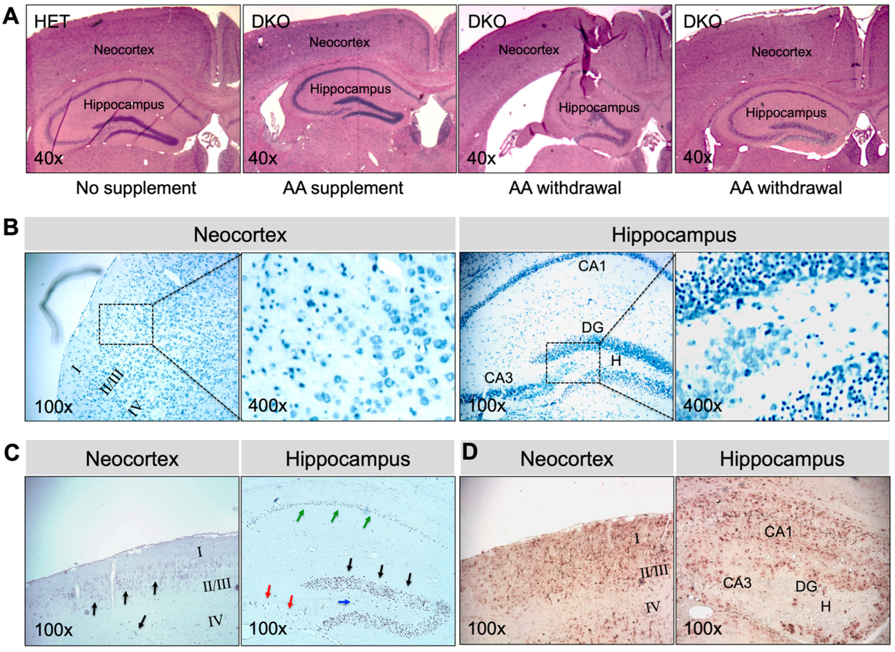Antioxidants 12 00448 g005 Antioxidants 12 00448 g005