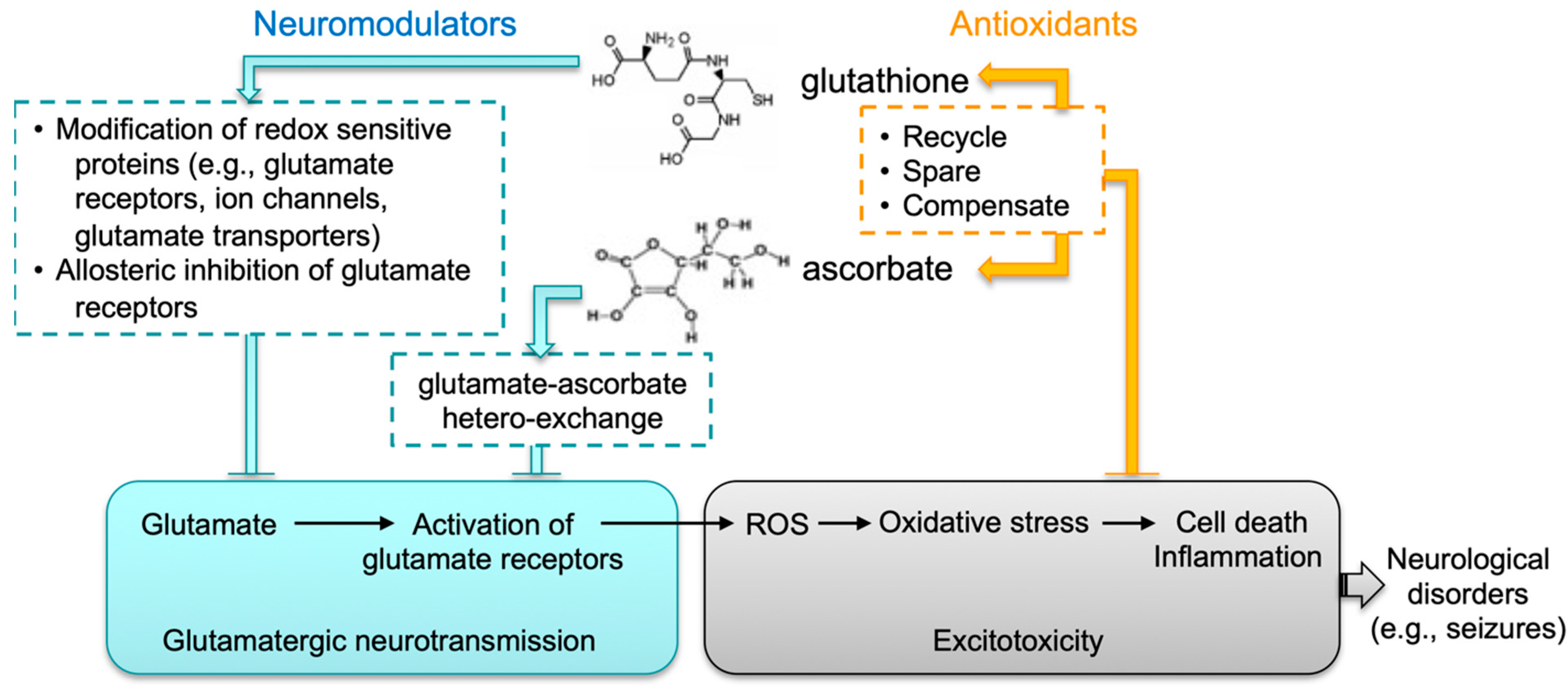Antioxidants 12 00448 g006 Antioxidants 12 00448 g006