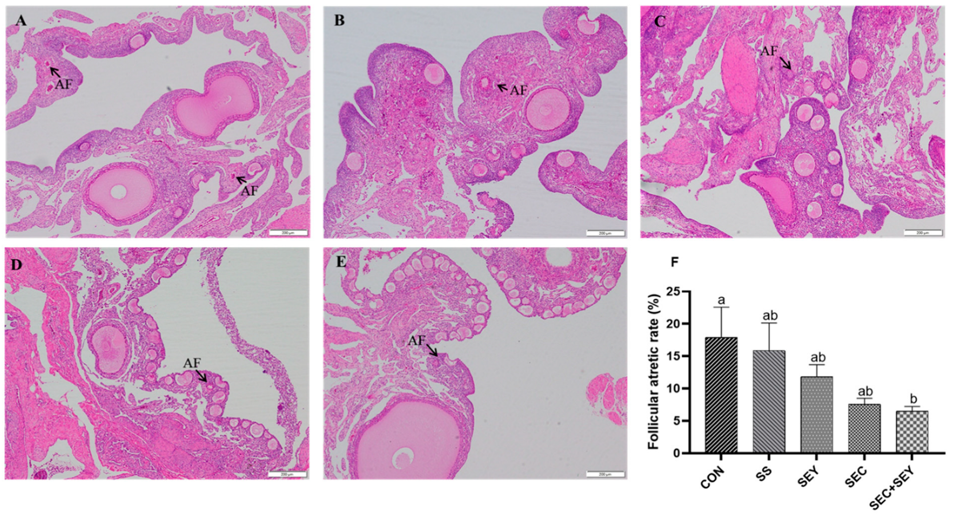 Antioxidants 12 00450 g001 Antioxidants 12 00450 g001