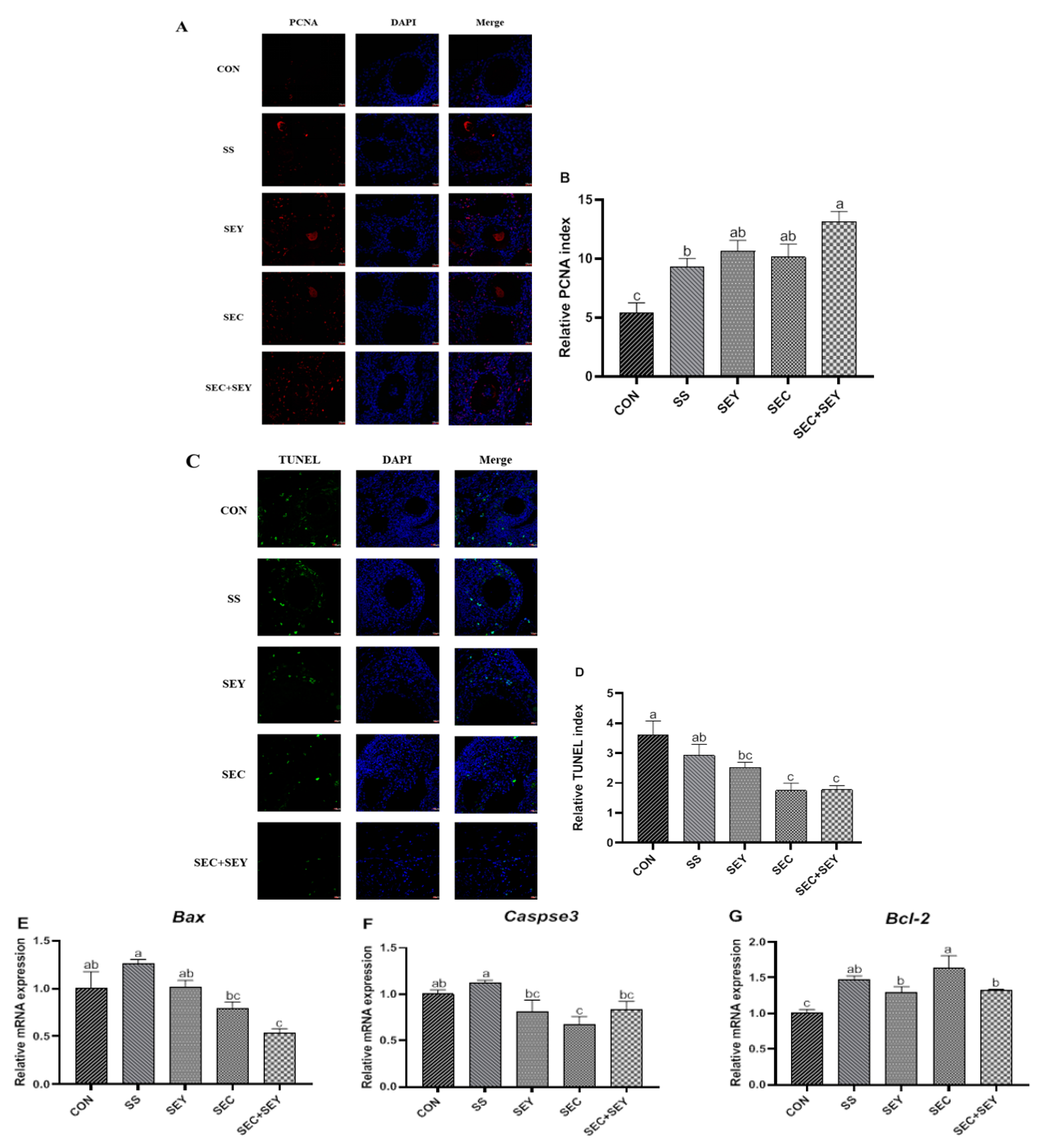 Antioxidants 12 00450 g002 Antioxidants 12 00450 g002