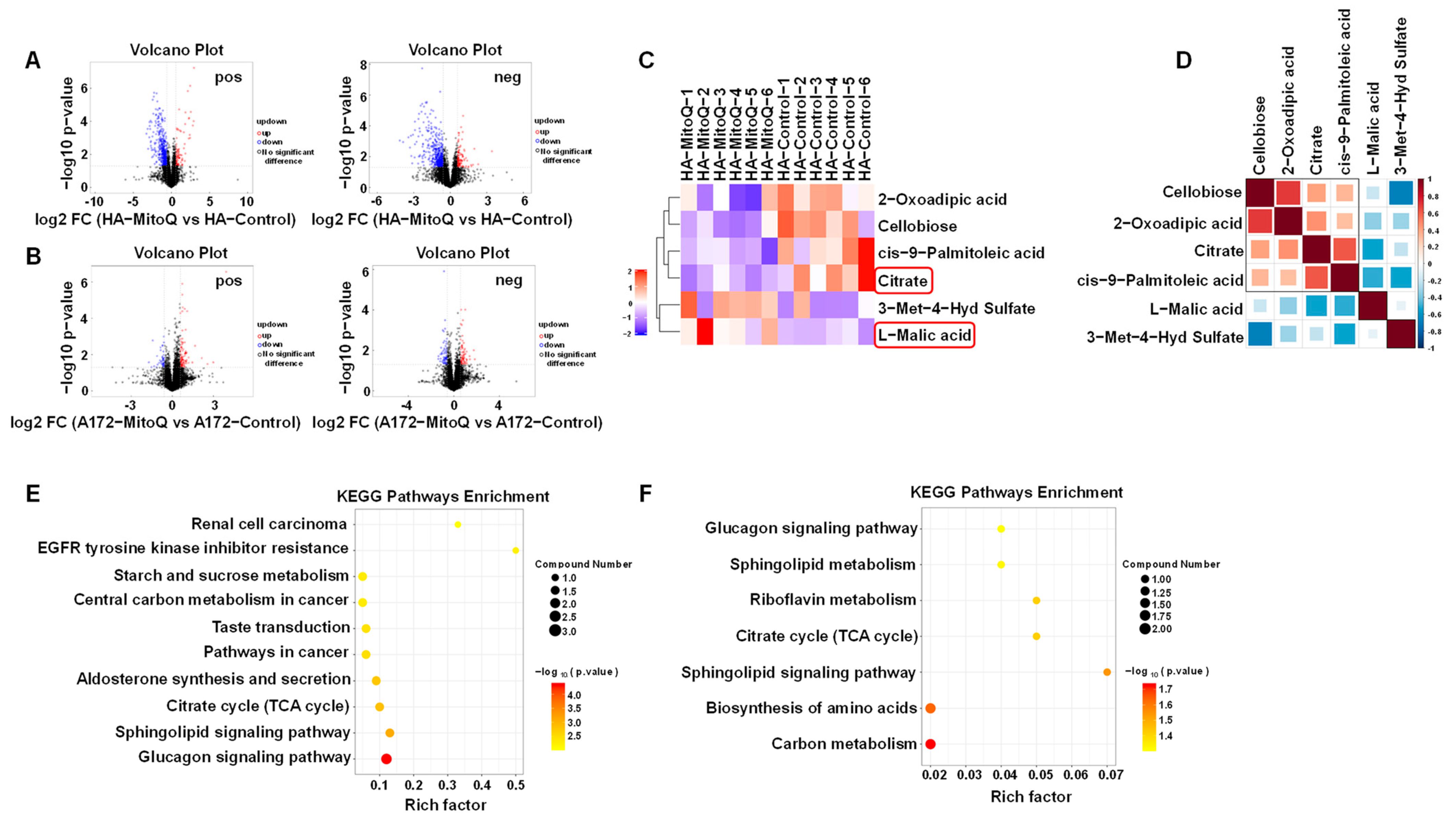 Antioxidants 12 00453 g004