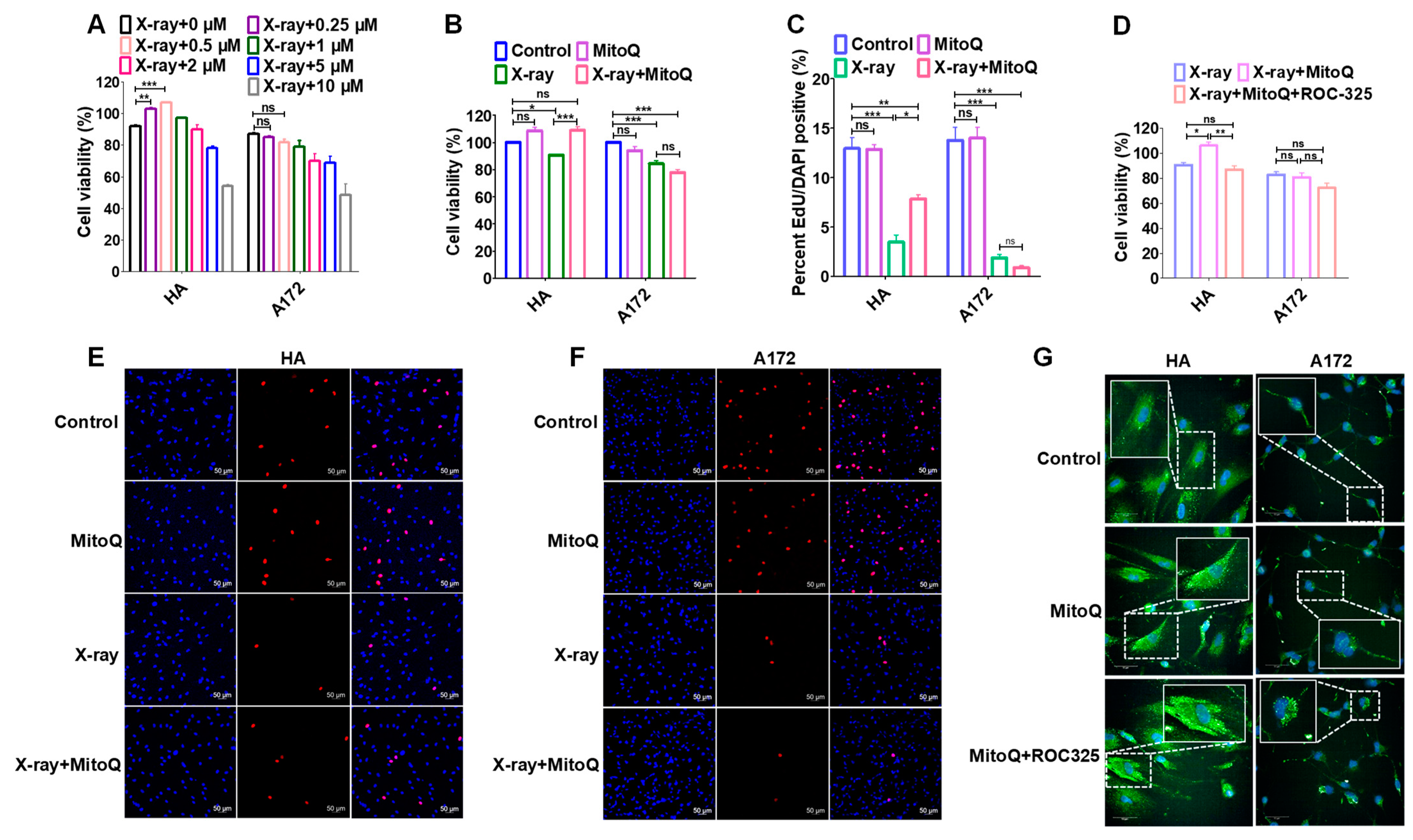 Antioxidants 12 00453 g006