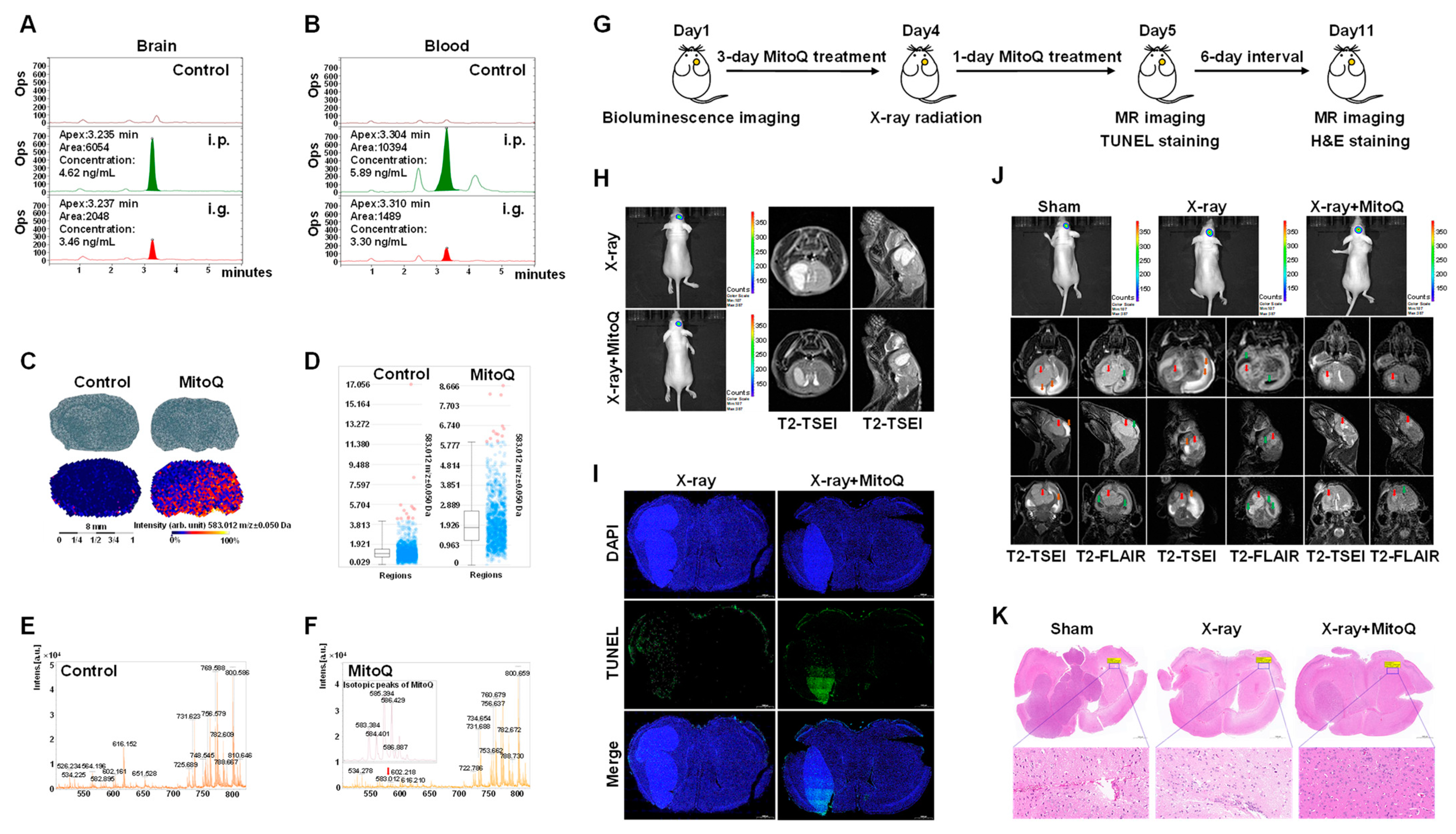 Antioxidants 12 00453 g007