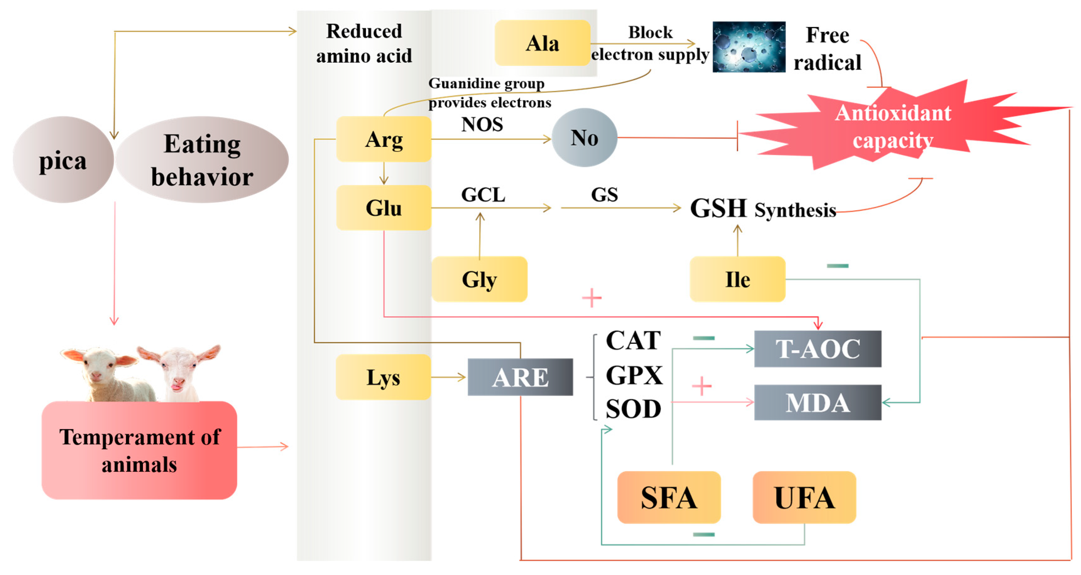 Antioxidants 12 00459 g006 550