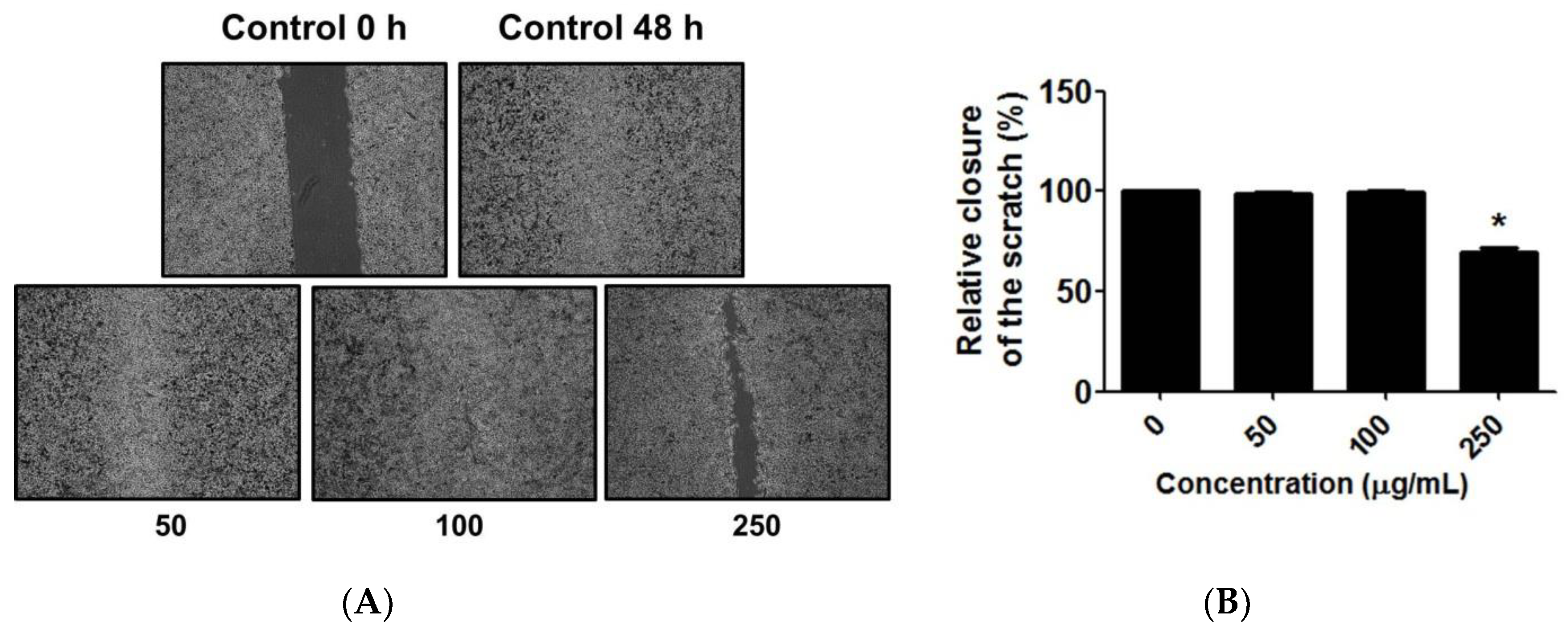 Antioxidants 12 00461 g008 Antioxidants 12 00461 g008