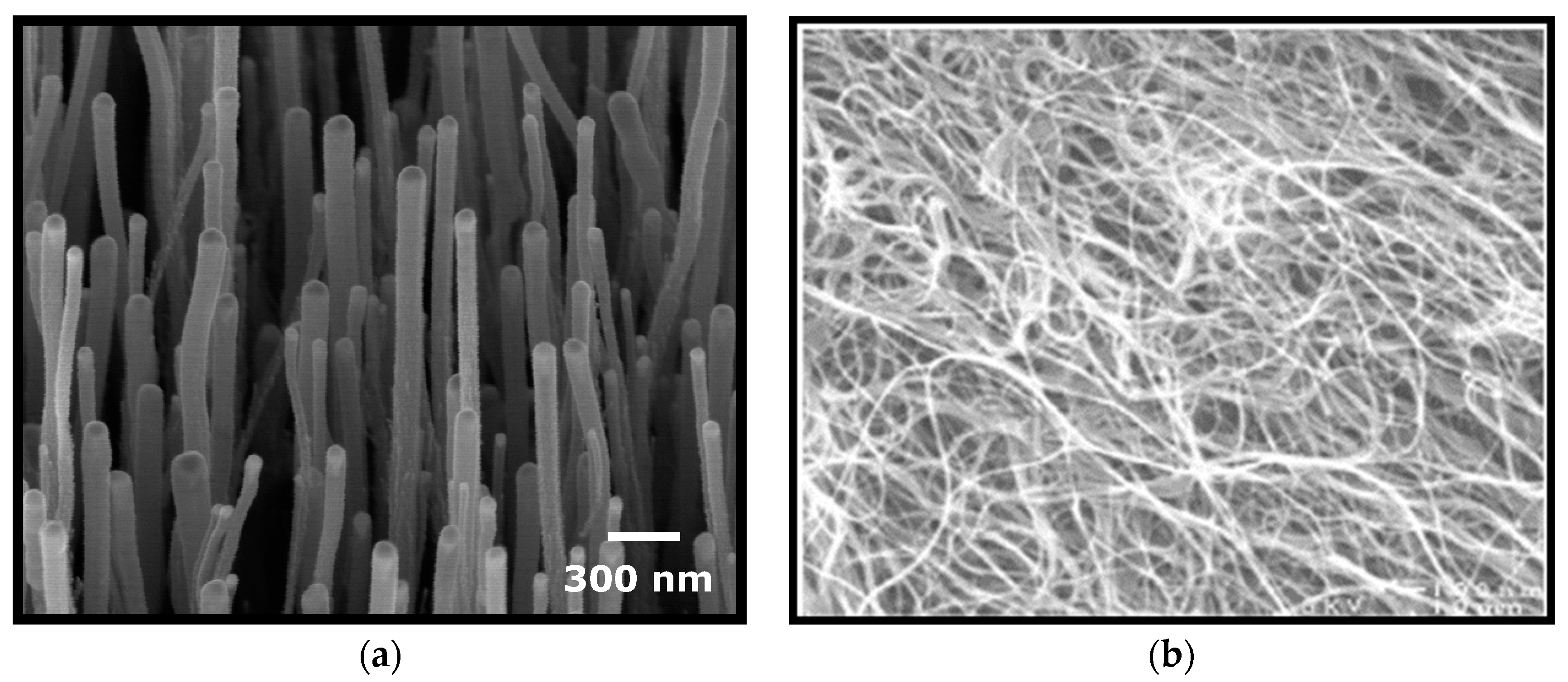 Antioxidants 12 00464 g001