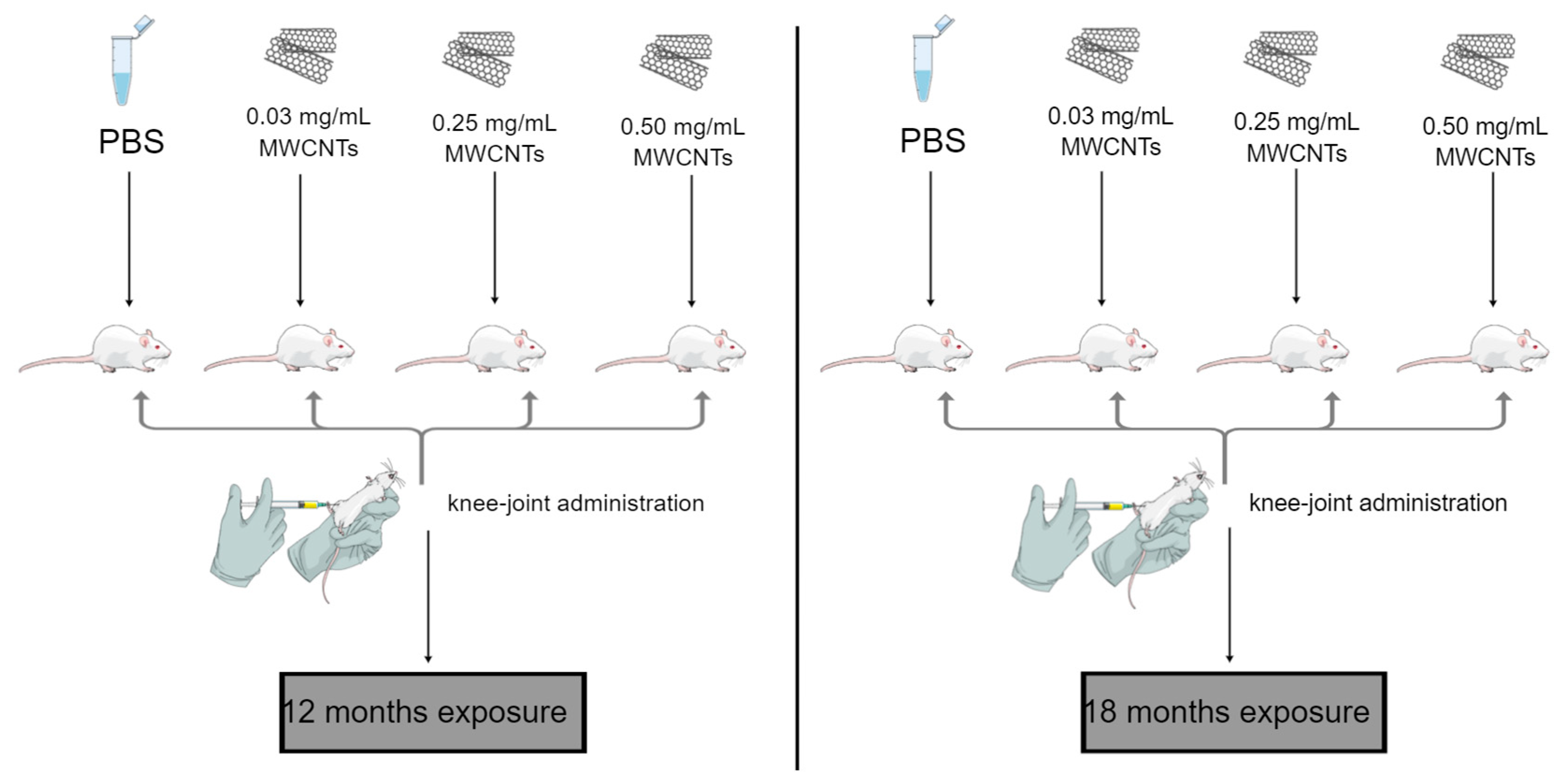 Antioxidants 12 00464 g002