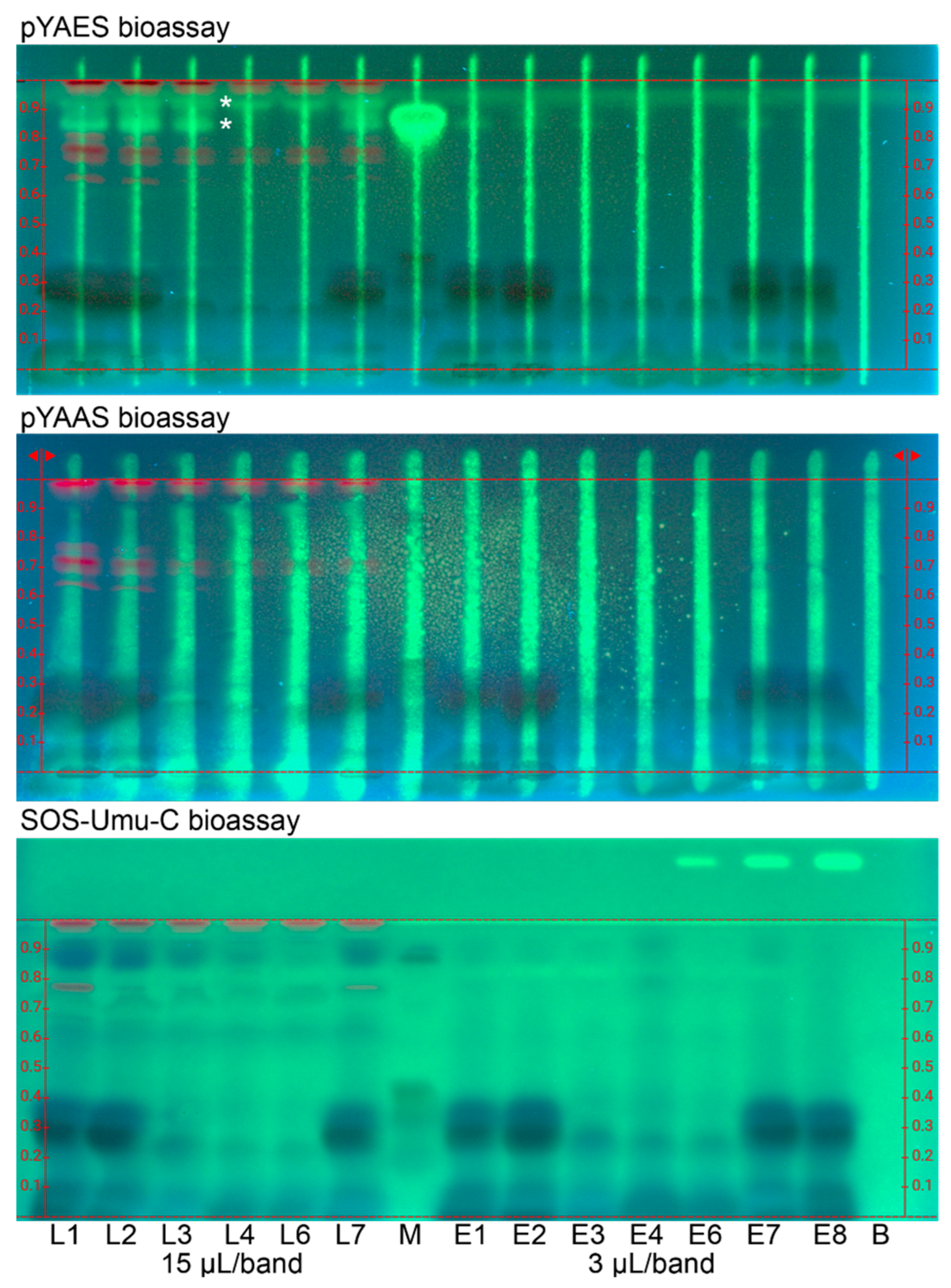 Antioxidants 12 00476 g002 Antioxidants 12 00476 g002