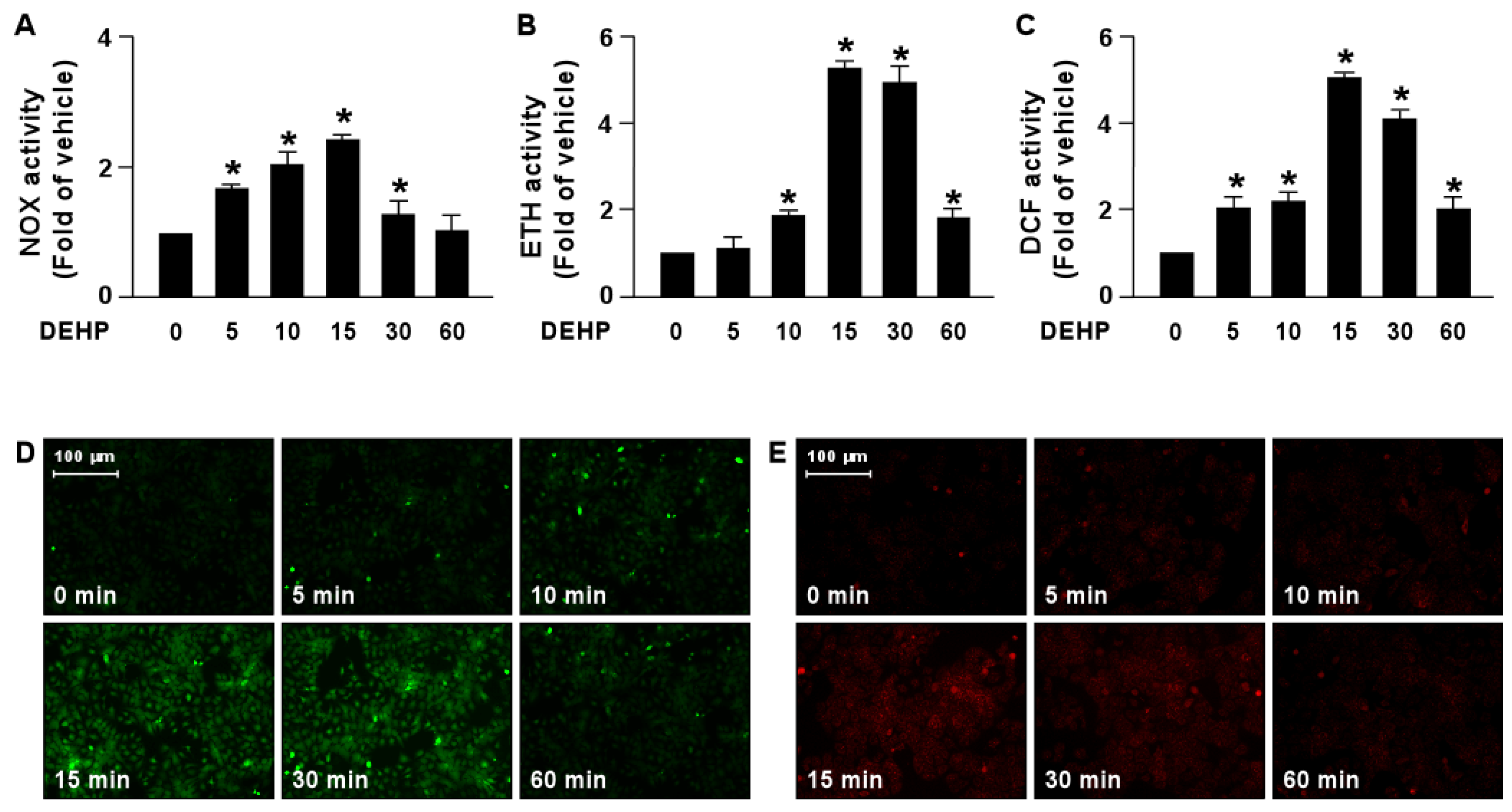 Antioxidants 12 00477 g005 Antioxidants 12 00477 g005