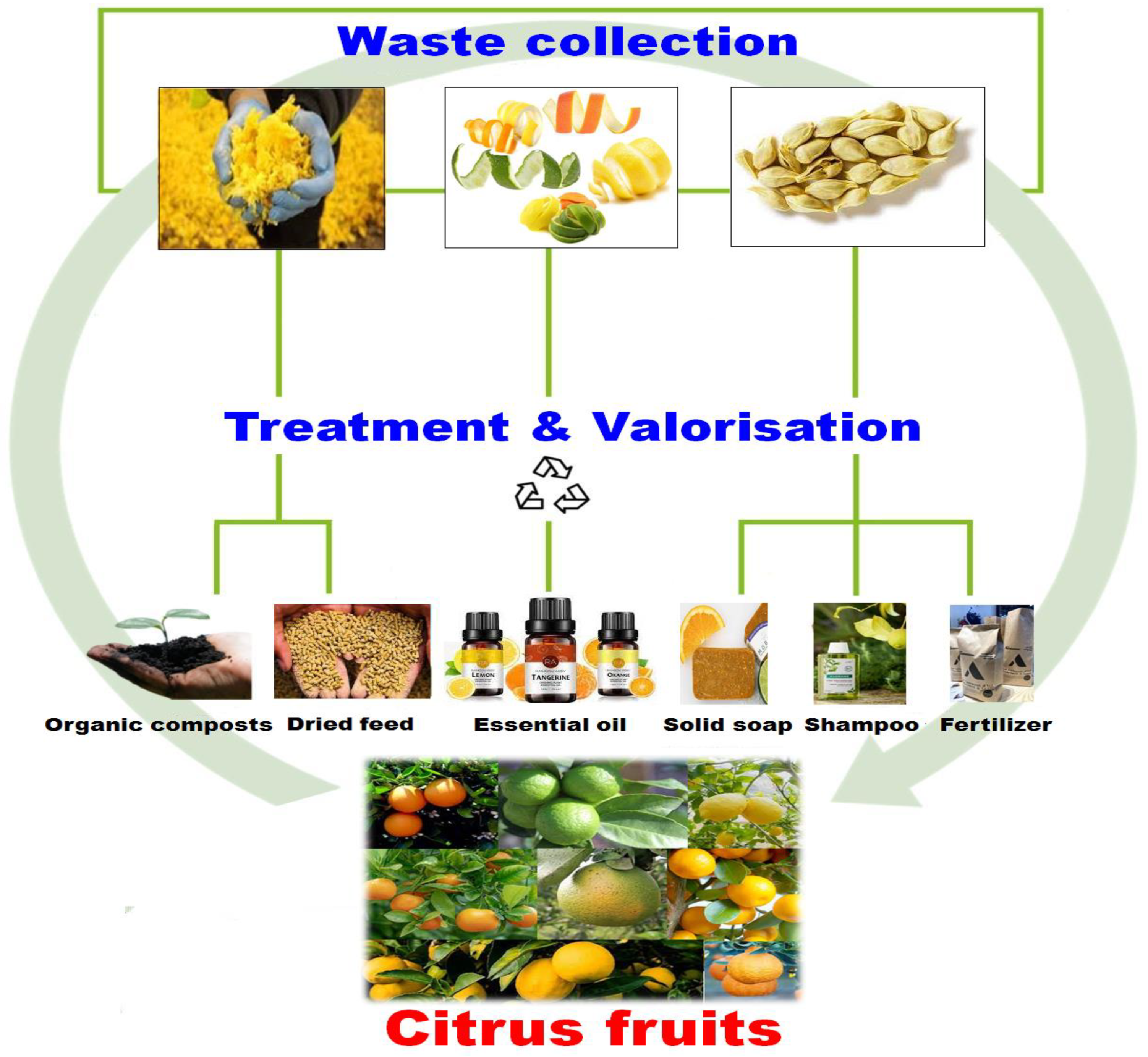 Antioxidants 12 00481 g002