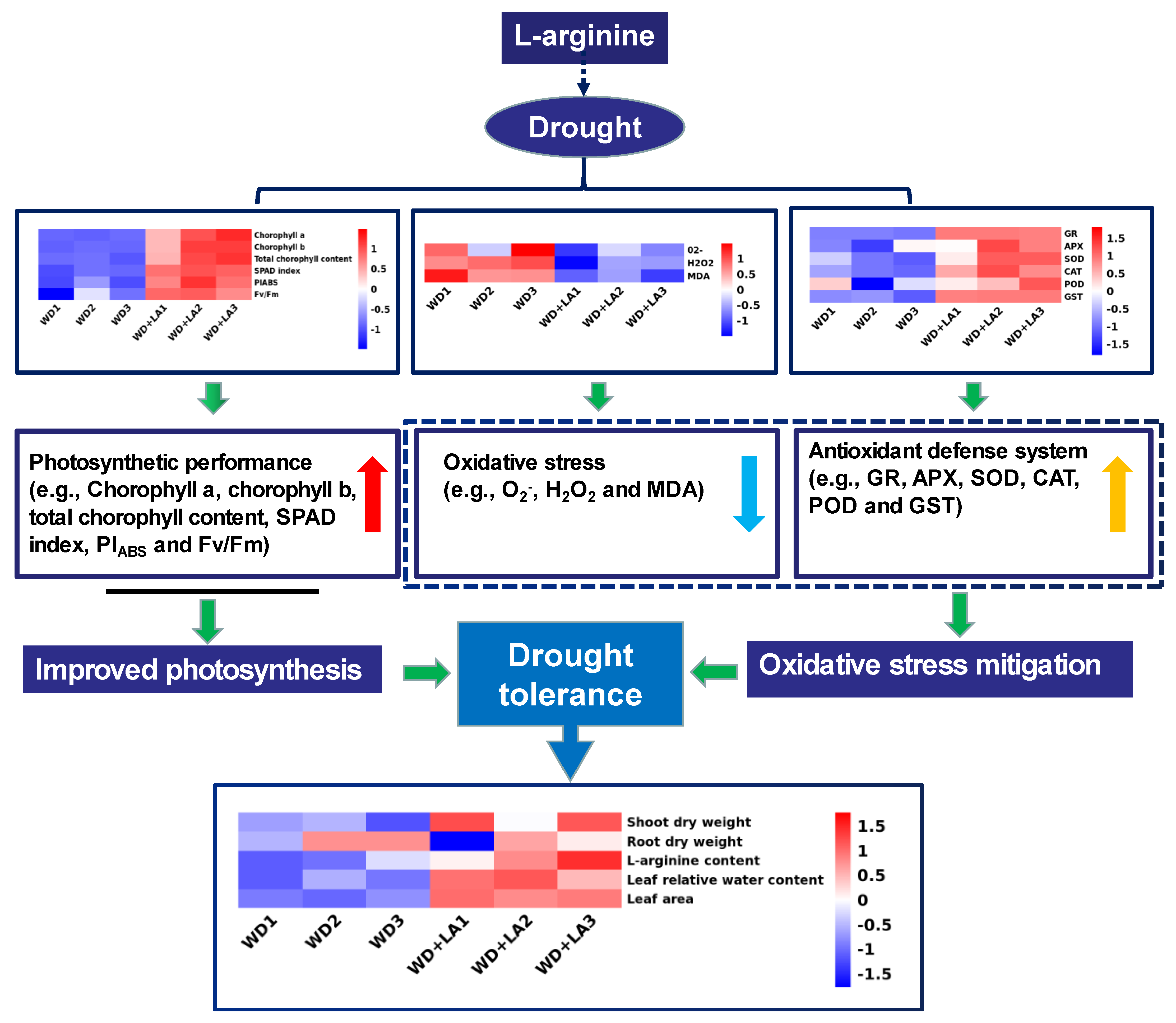 Antioxidants 12 00482 g008