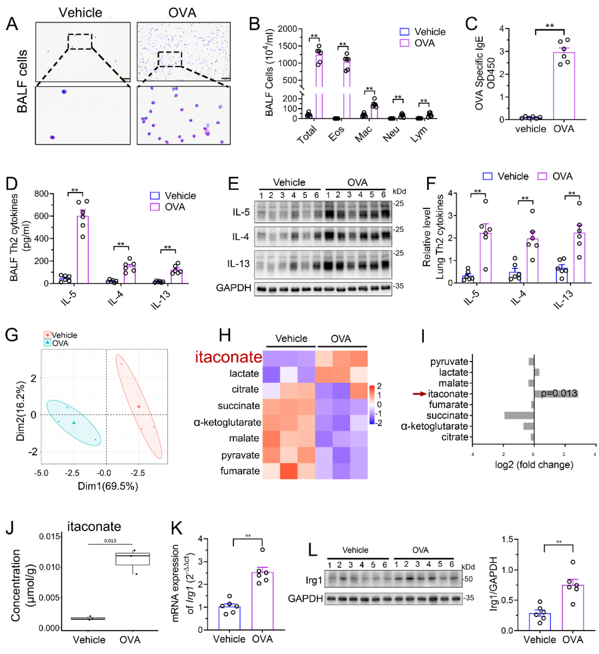 Antioxidants 12 00489 g001 Antioxidants 12 00489 g001